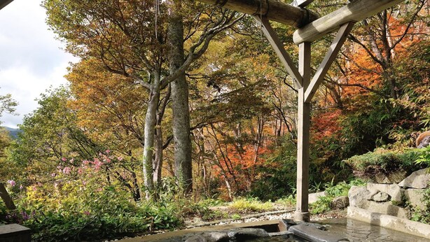 A traditional Japanese garden with a stone water feature, surrounded by autumn foliage and a wooden structure. - Shiga Park Hotel (Yamanouchi)
