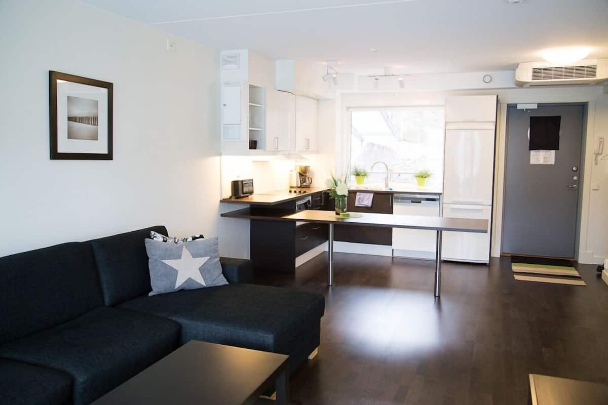 standard studio (main building) | living area | flat-screen tv