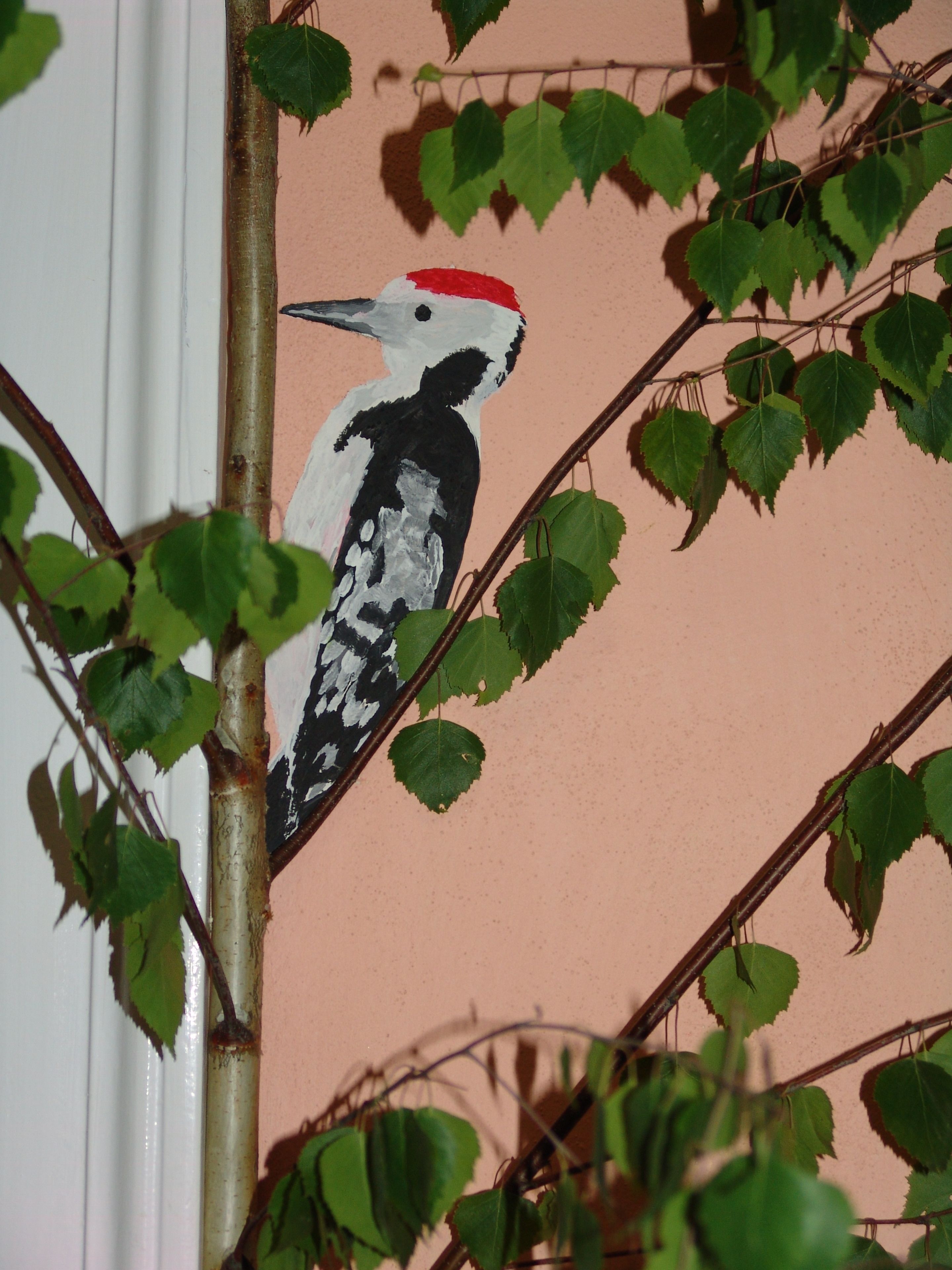 Foto - ARTHARMONY Pension & Hostel