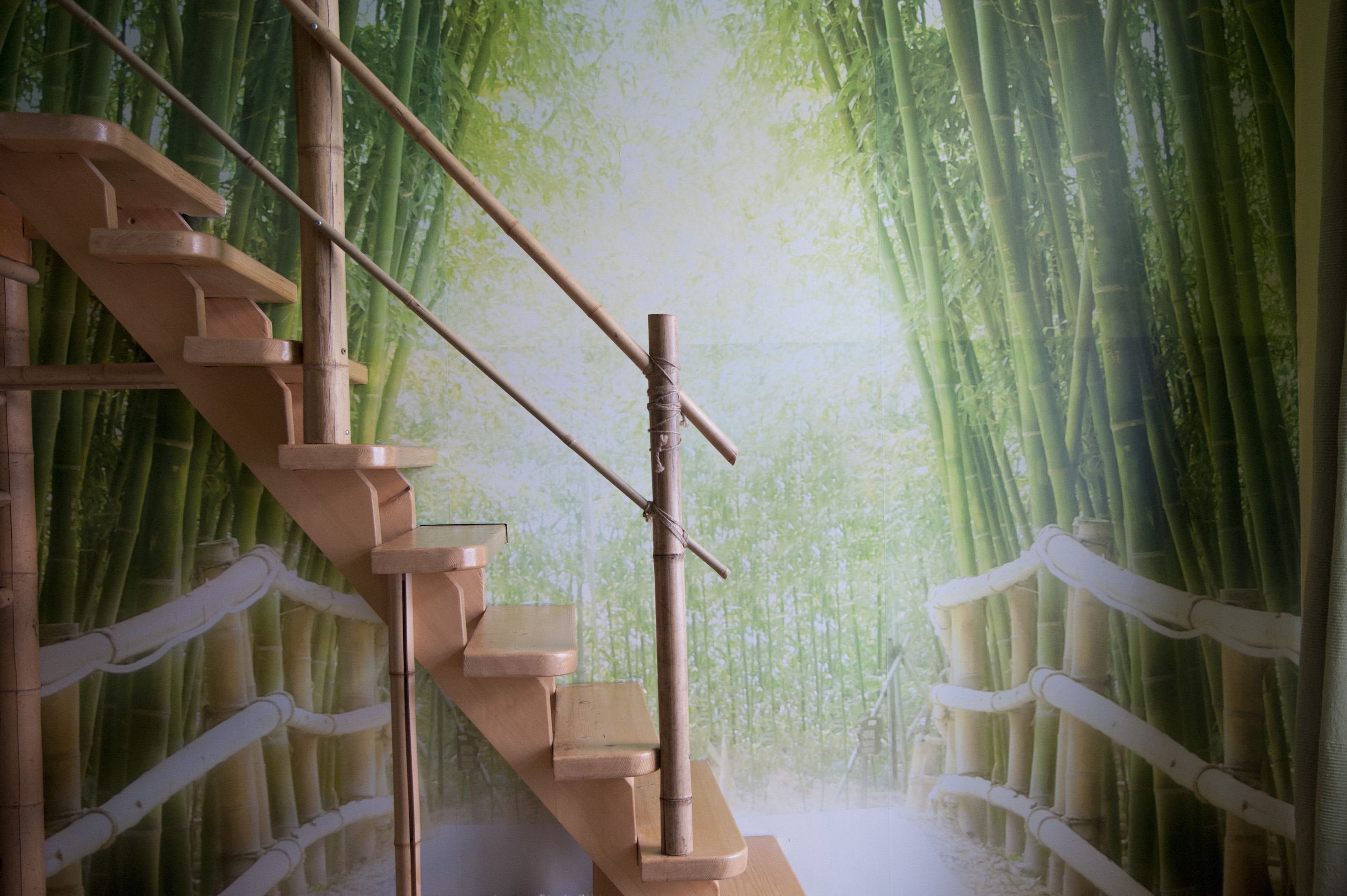 Foto - ARTHARMONY Pension & Hostel