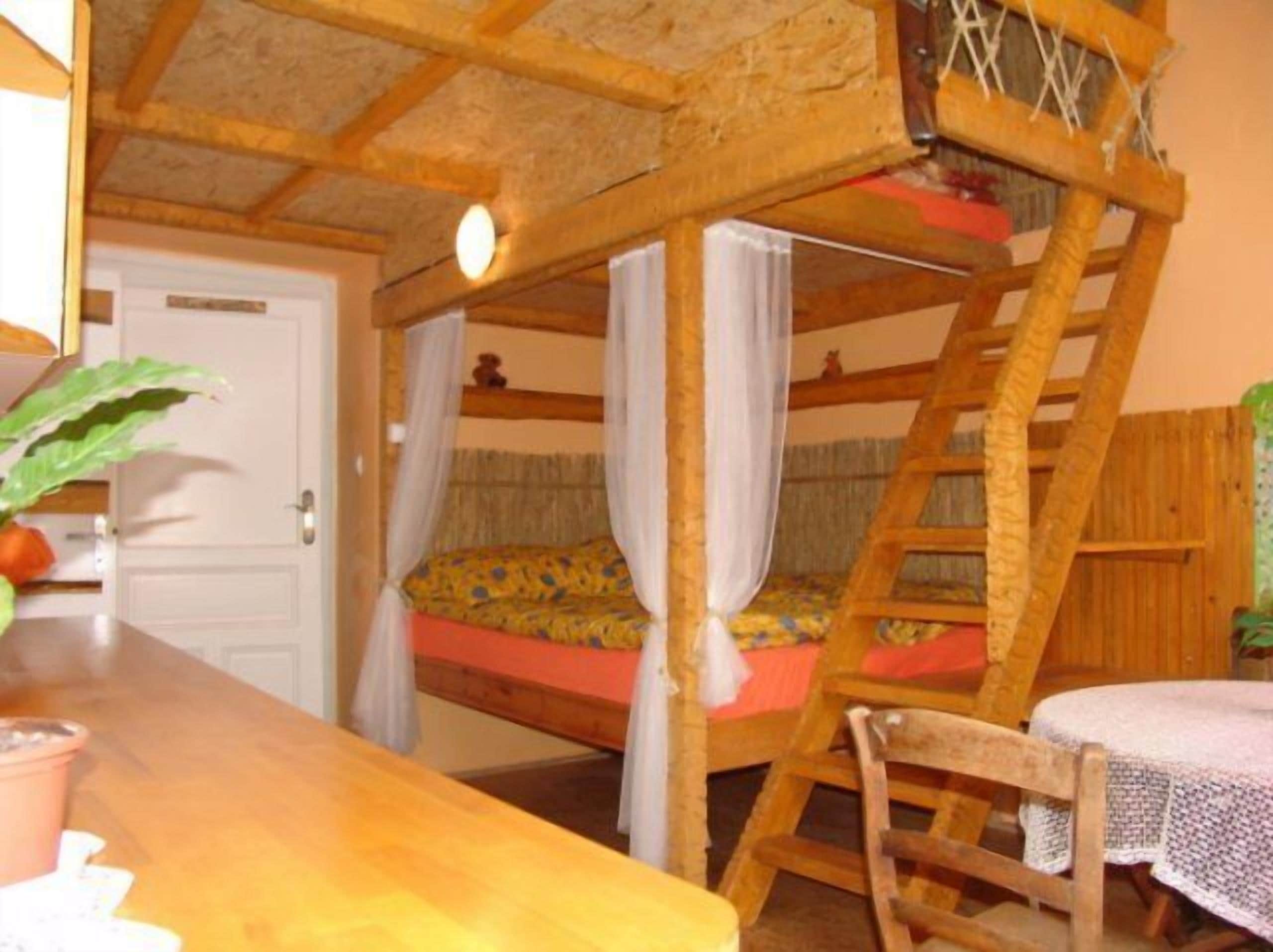 A rustic room with a bunk bed, a wooden ladder, a small table, and a chair.
