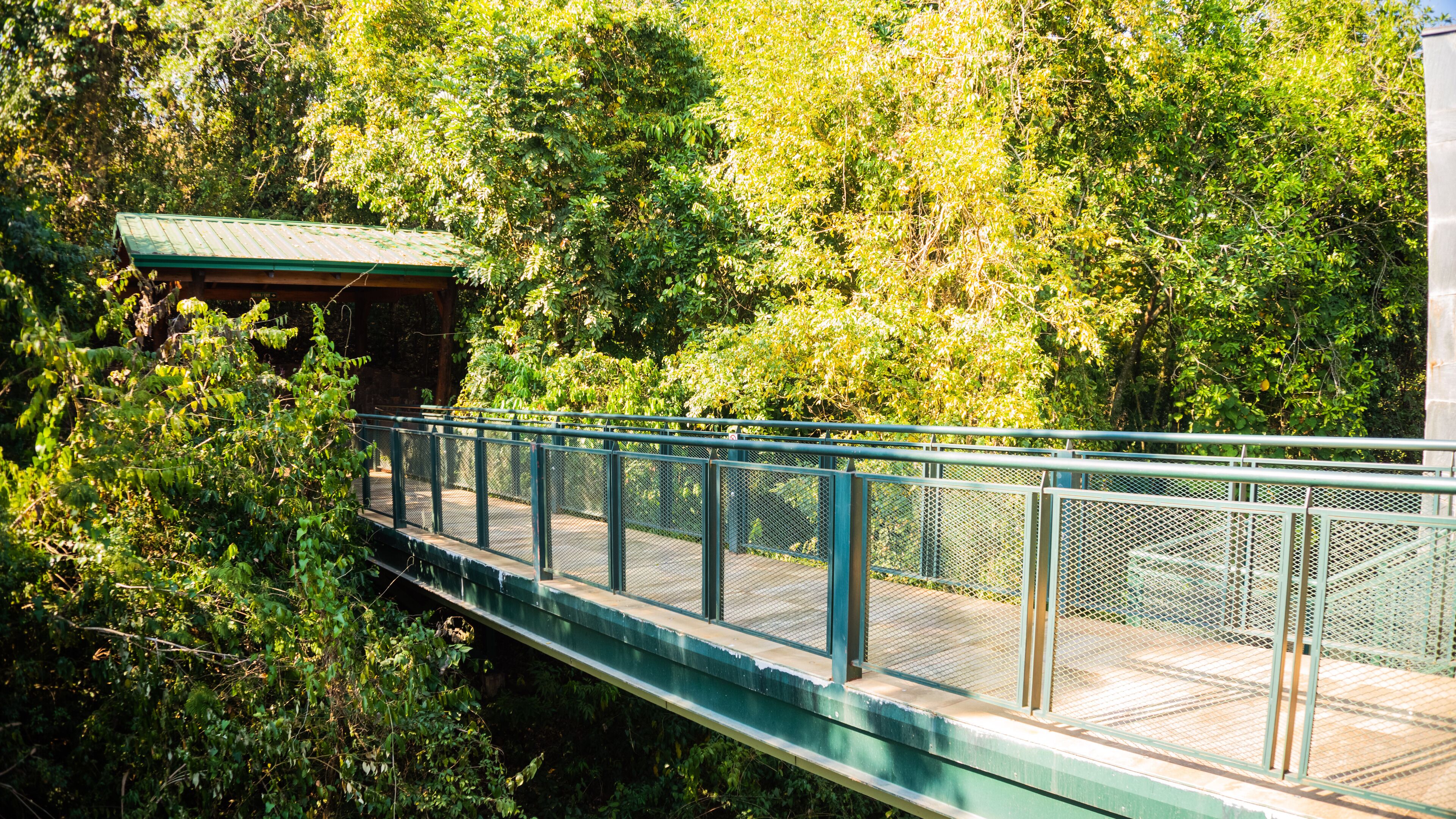 Foto - Iguazu Jungle Hotel