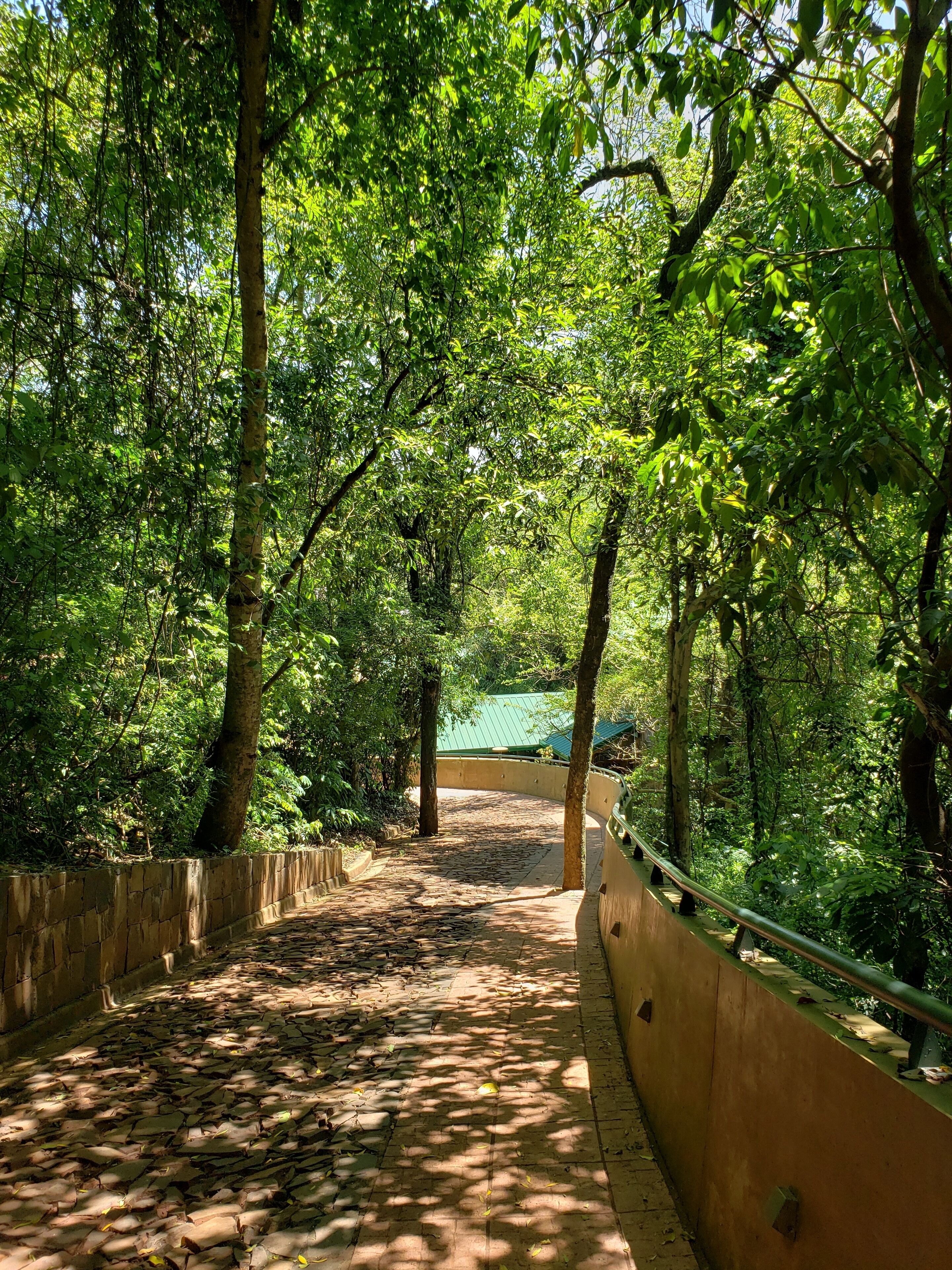 A pathway surrounded by trees with a stone wall on one side and a metal railing on the other.