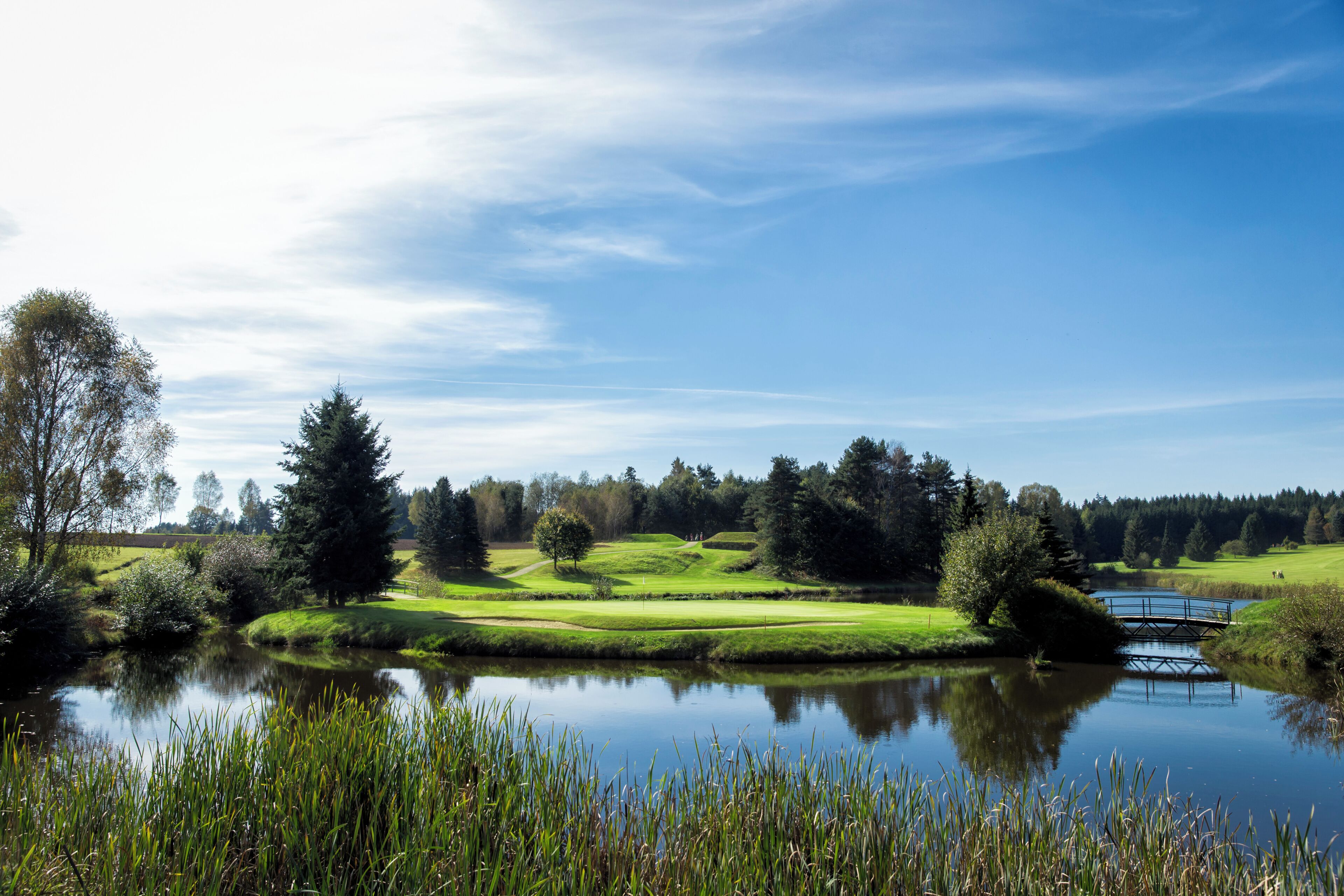 A serene landscape with a pond, trees, and a bridge.