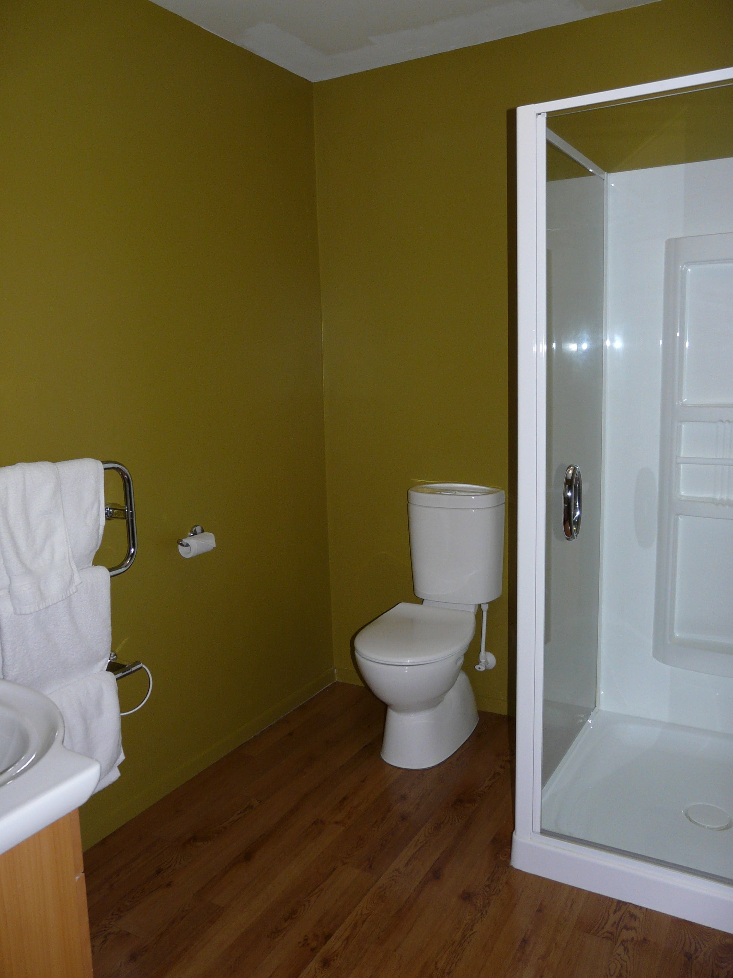 A bathroom with a toilet, a shower, and a towel rack.