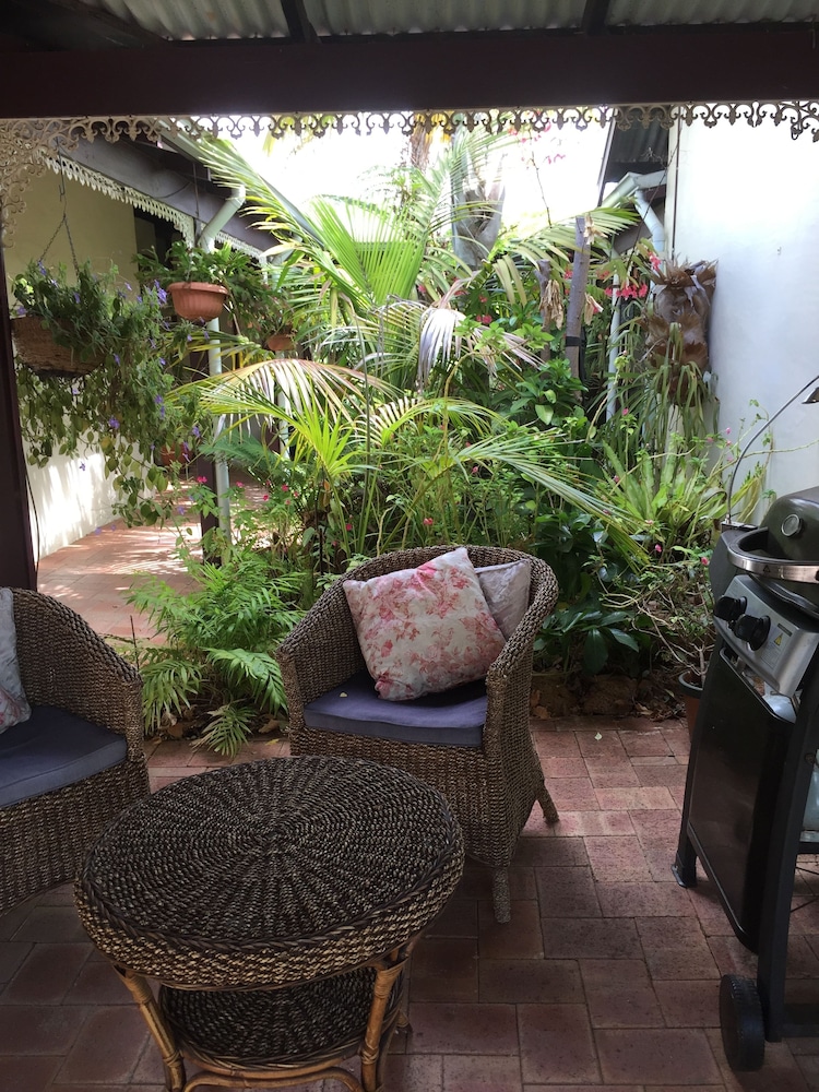 The Noble Grape by null