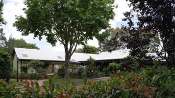 A house with a large tree in the front yard, surrounded by various plants and shrubs.