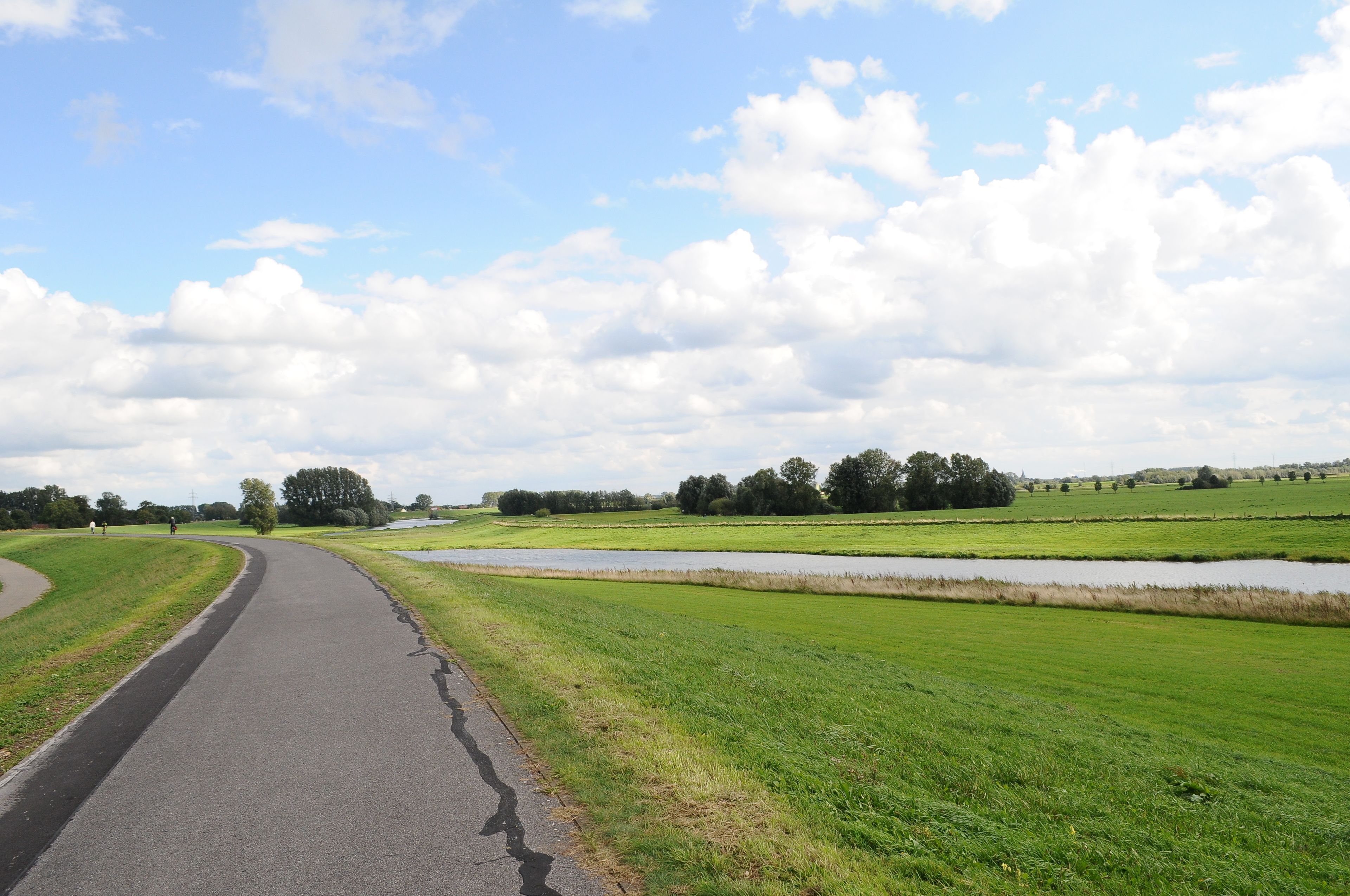 A rural road curving through green fields with a body of water on the right.