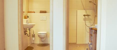 Un baño con inodoro, lavamanos y ducha.