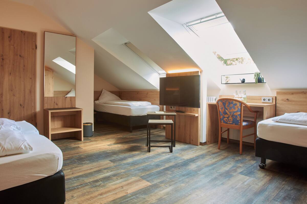 A compact room with a loft bed, a desk, and a chair. There is a skylight above the desk area.