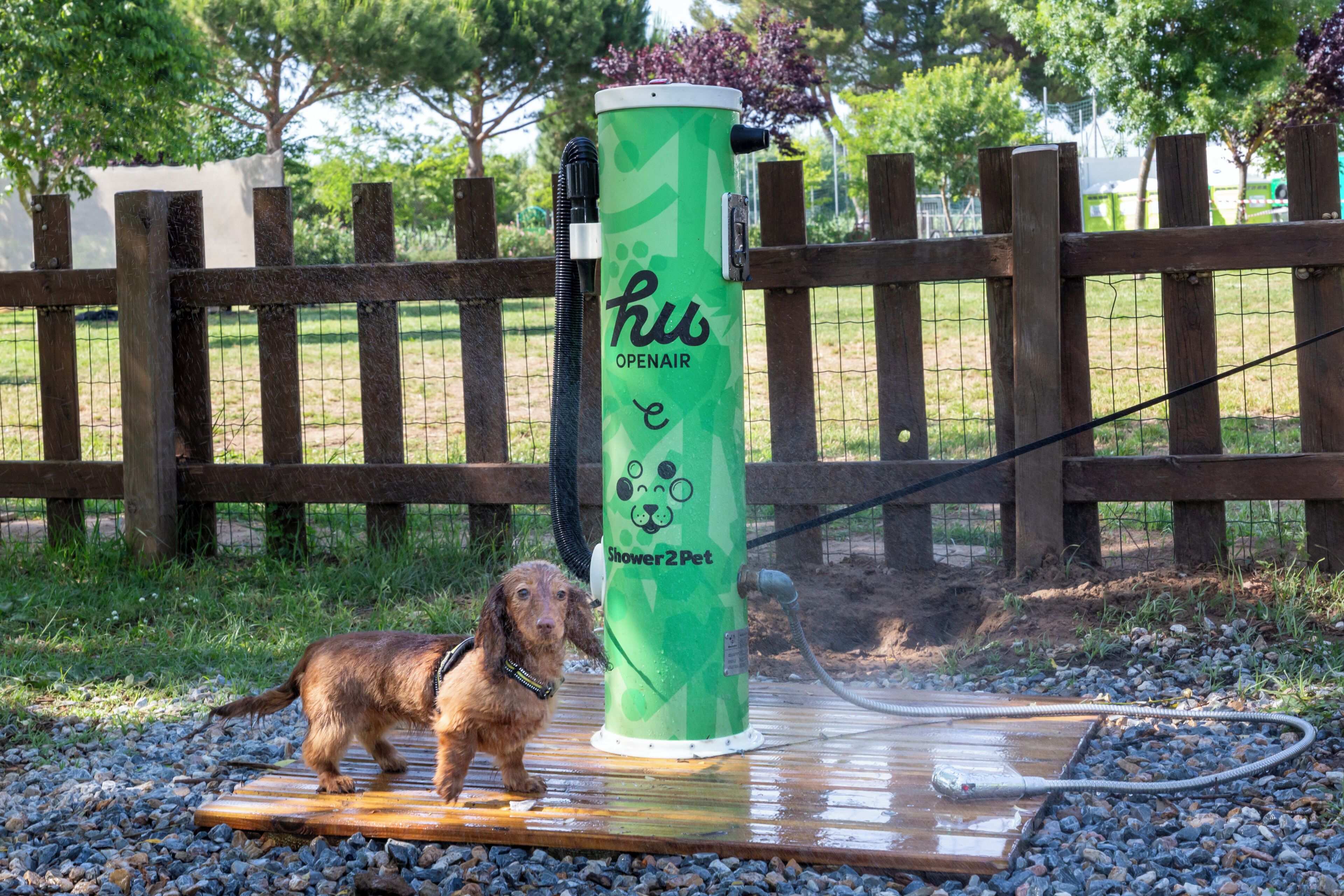 A dog standing on a wooden platform with a green water fountain labeled 'hu Openair Shower2Pet.'