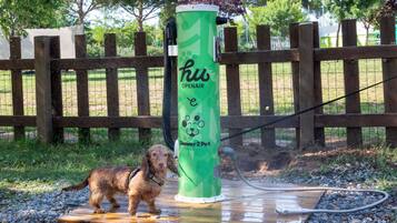 Un perro parado sobre una plataforma de madera con una fuente de agua verde identificada como 'hu Openair Shower2Pet'.