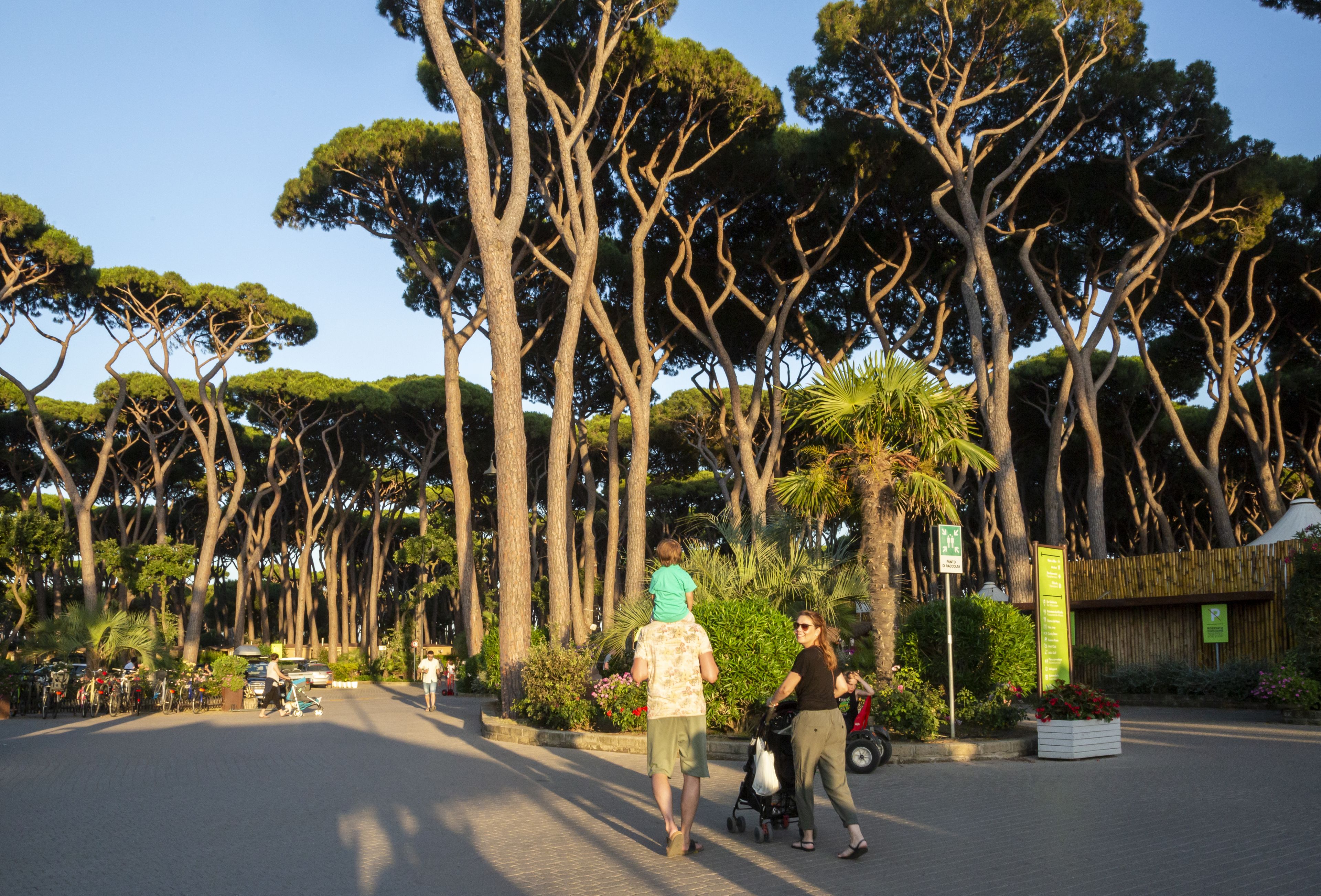 Una calle bordeada de árboles altos y algunas personas caminando.