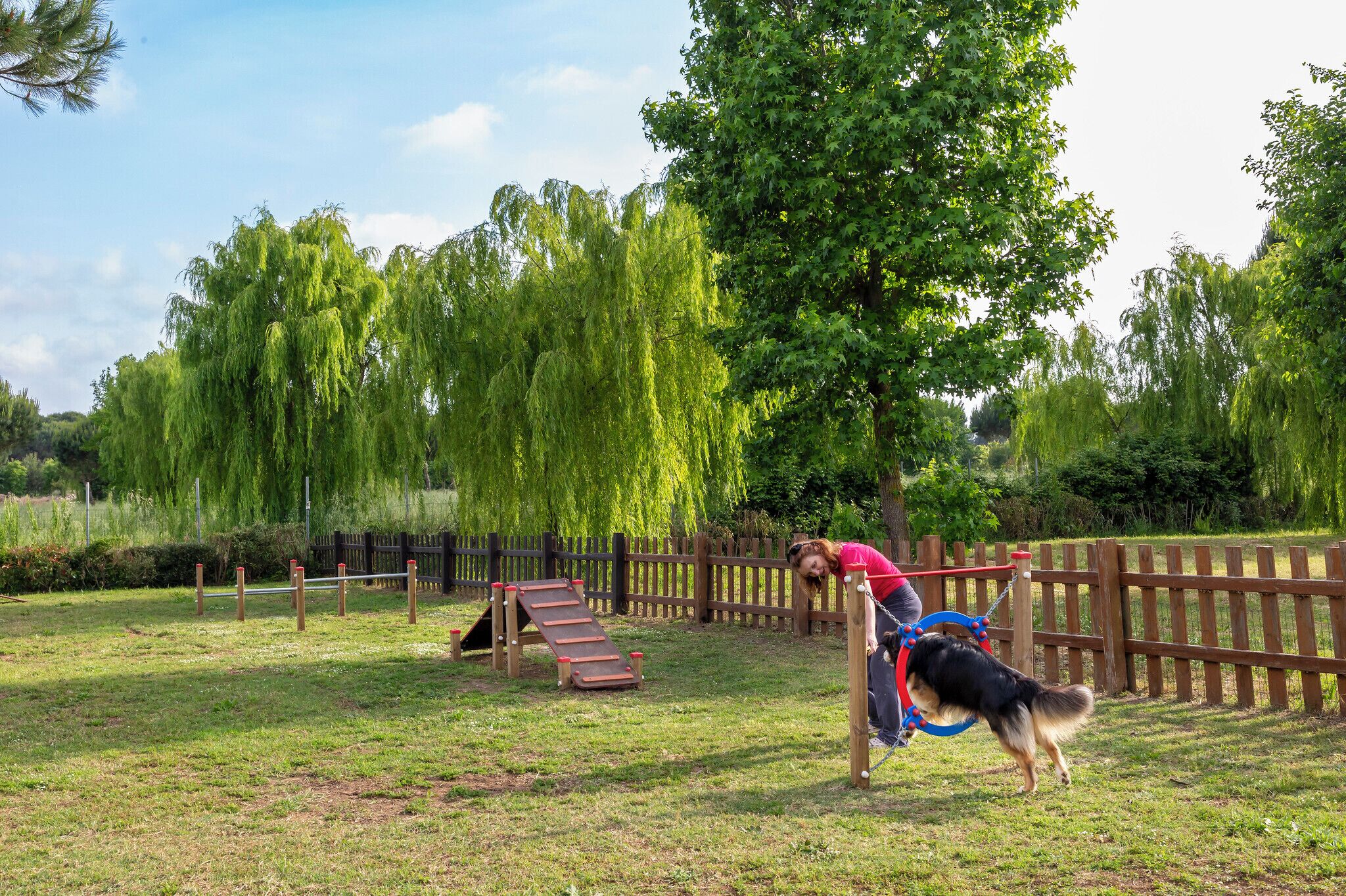 Parque para cães com cerca de madeira, estrutura para escalar e área gramada.
