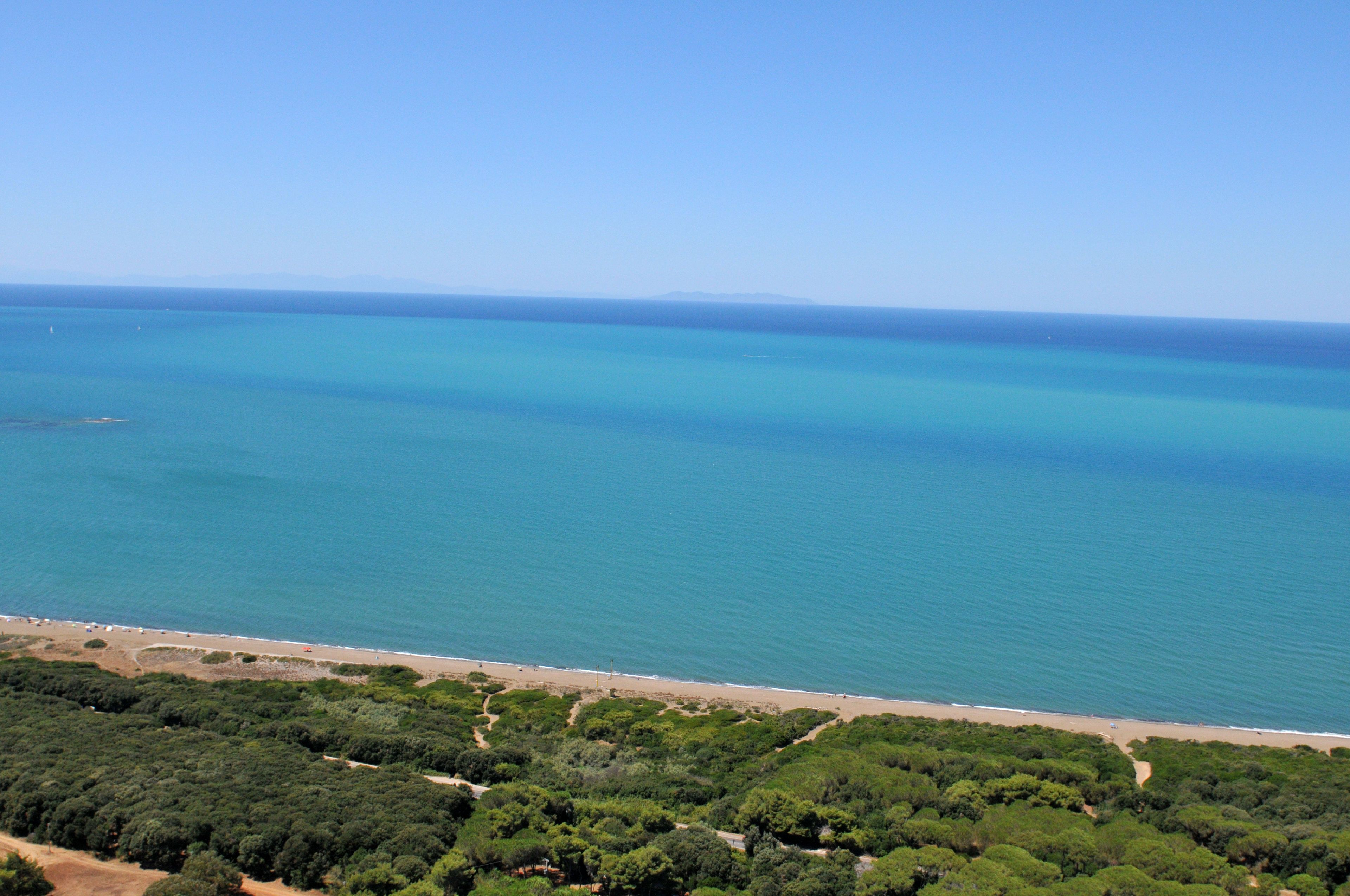 Un paisaje costero con playa y abundante vegetación.