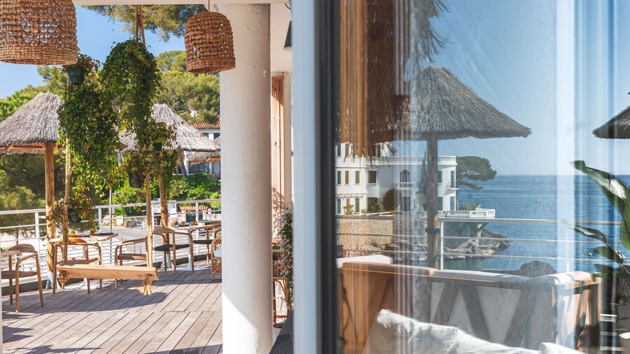 HĂŽtel de la Plage Mahogany