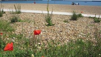 A pebbled beach with red flowers and a clear view of the sea.