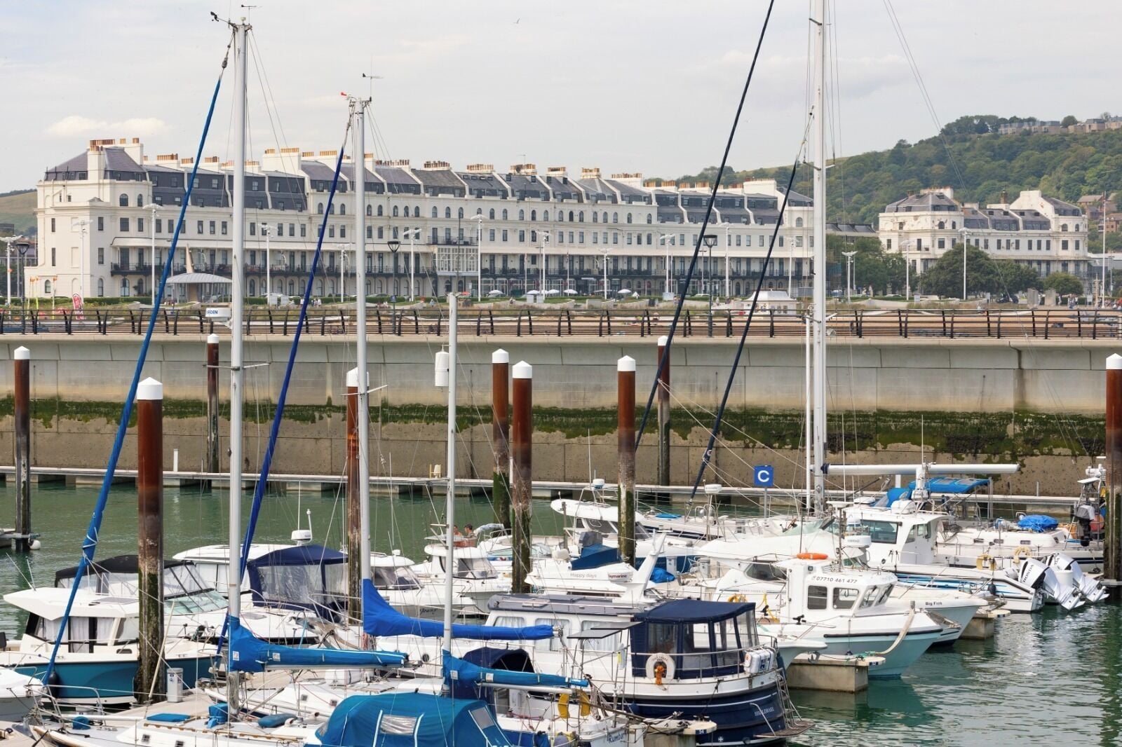 A marina with multiple boats docked, a bridge in the background, and a building with a row of windows.