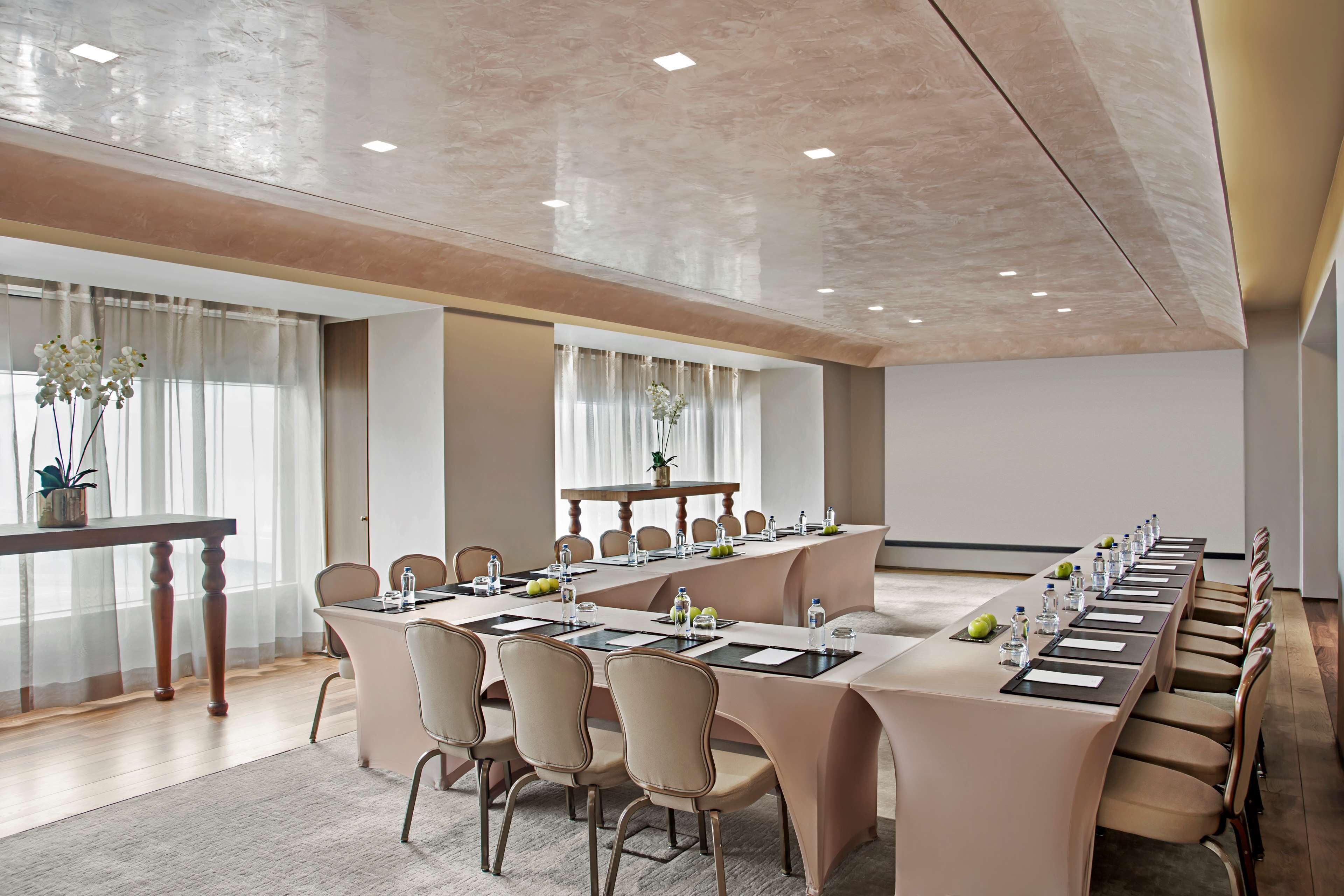 A conference room with a long table, chairs, and a small table with a plant.
