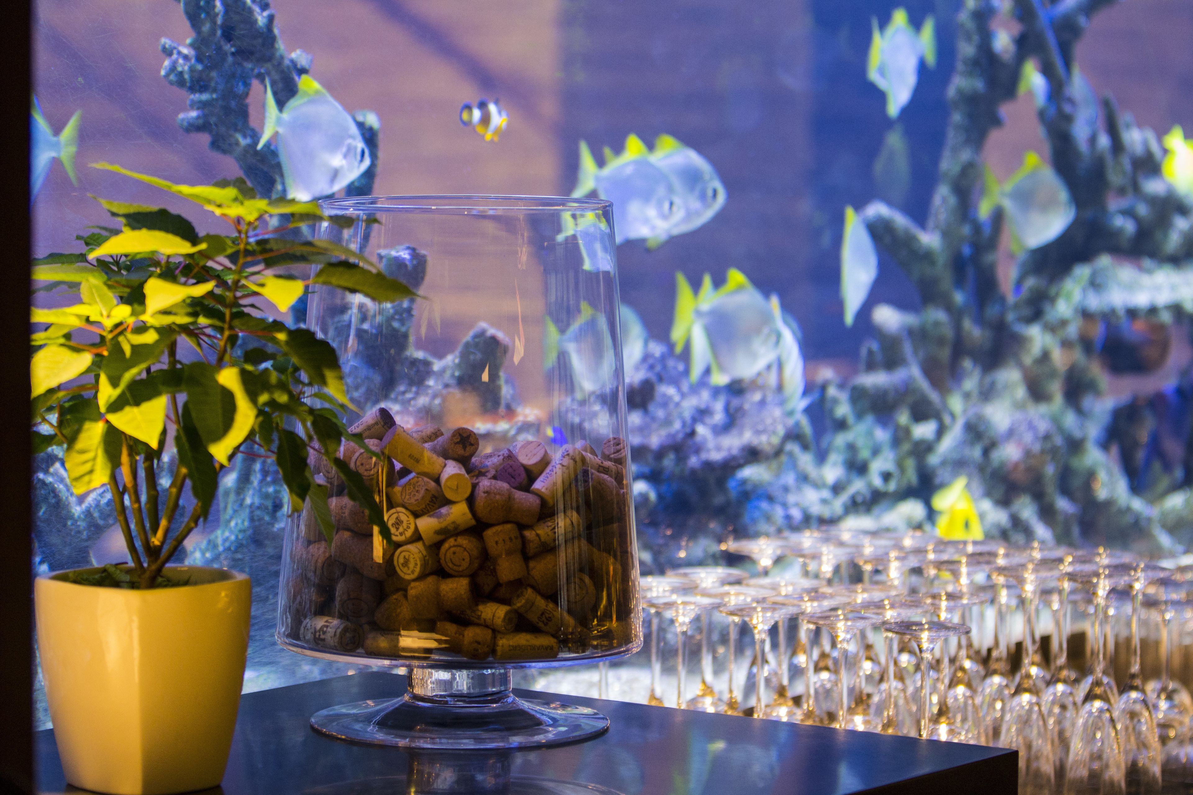 Photo - Hyatt Centric Levent Istanbul Hotel