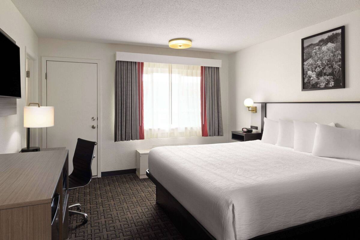A hotel room with a bed, a desk, a chair, a TV, a lamp, a nightstand, and a framed picture on the wall.