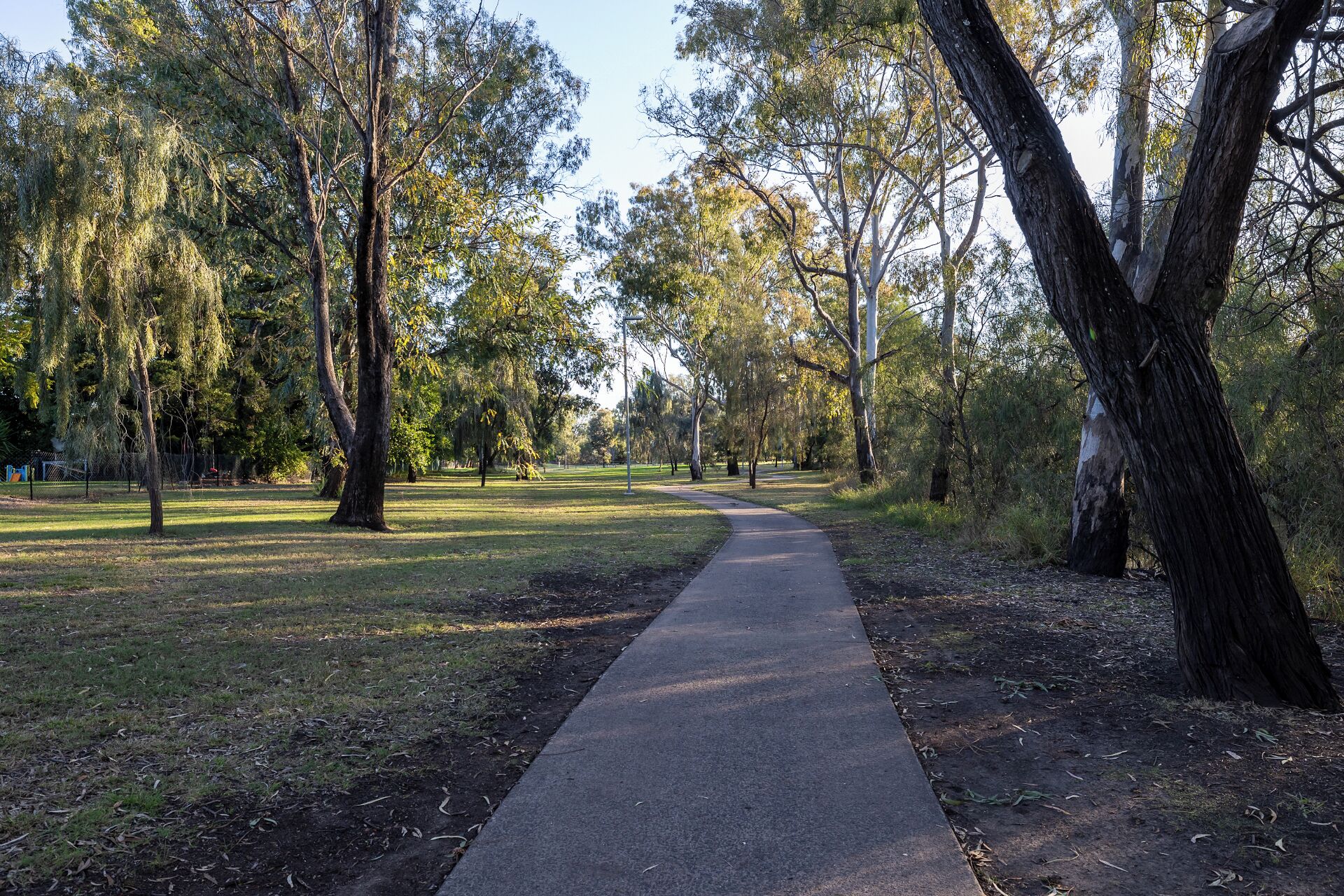 Un camino pavimentado en un parque, flanqueado por árboles.