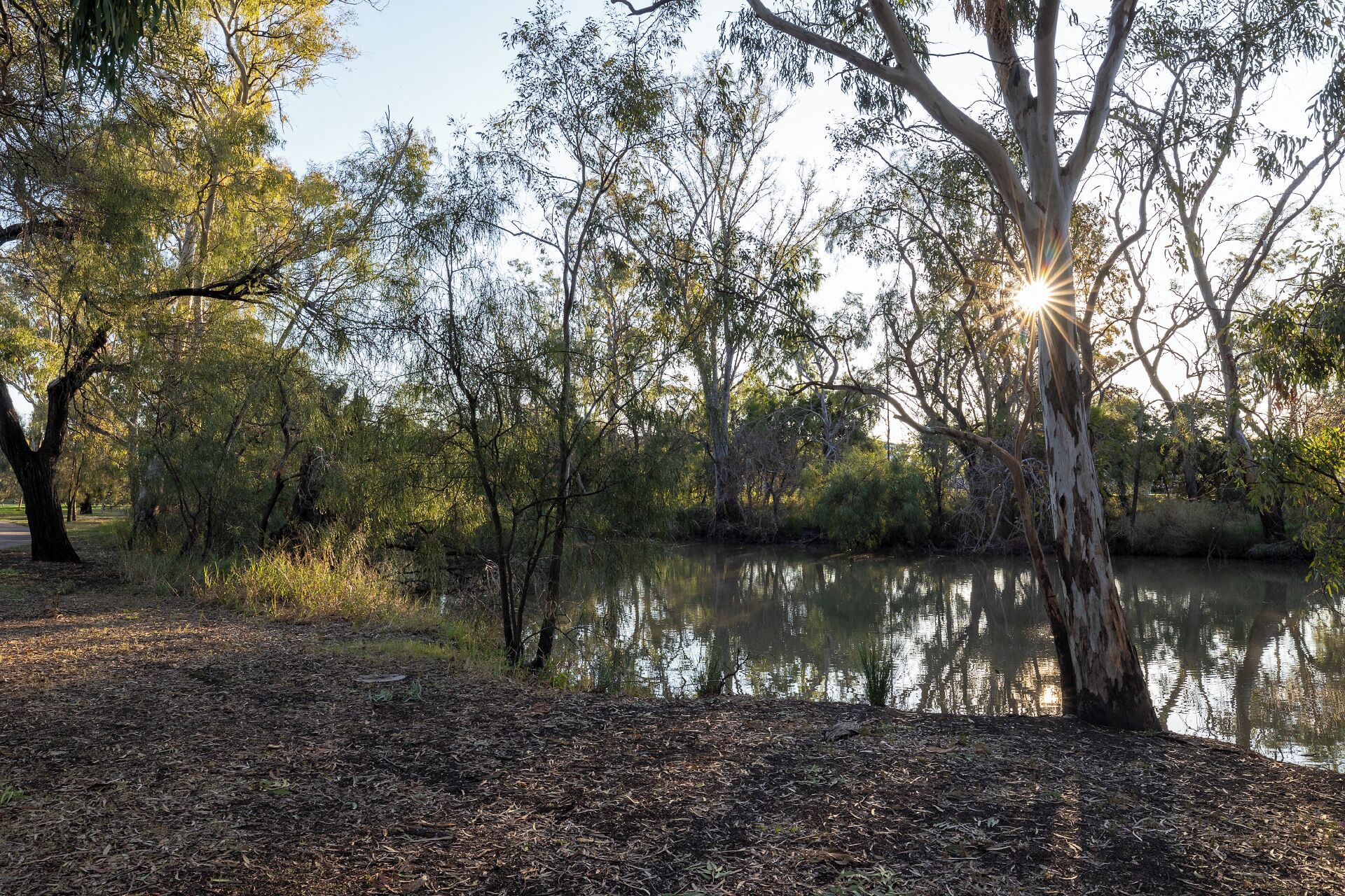 A natural landscape with trees and a body of water.