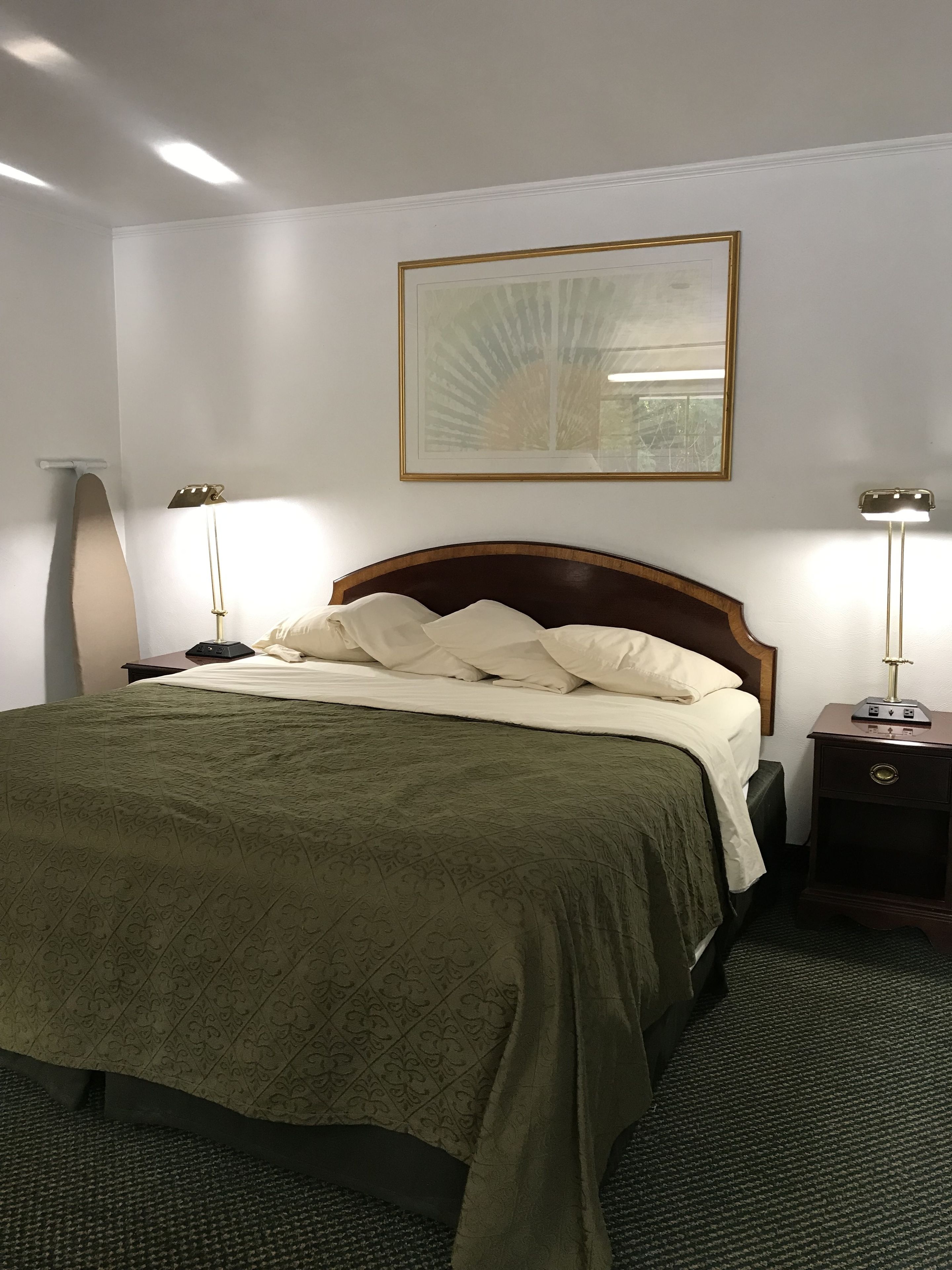Uma cama bem arrumada com colcha verde, duas luminárias de cabeceira, um quadro na parede e teto branco.