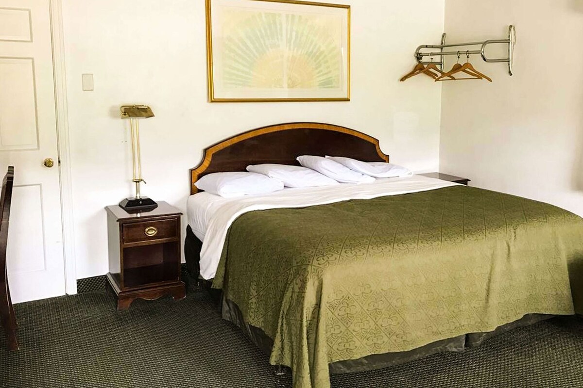 A hotel room with a bed, a bedside table with a lamp, a coat rack, and a framed picture on the wall.