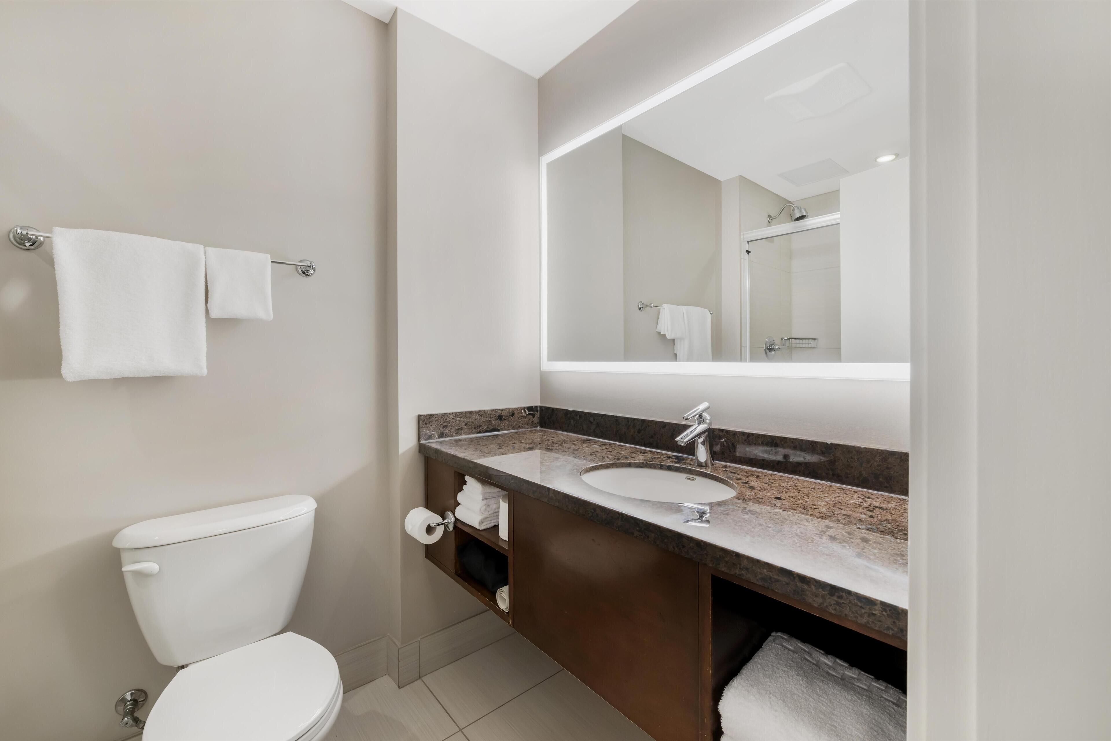 A modern bathroom with a toilet, sink, and mirror.