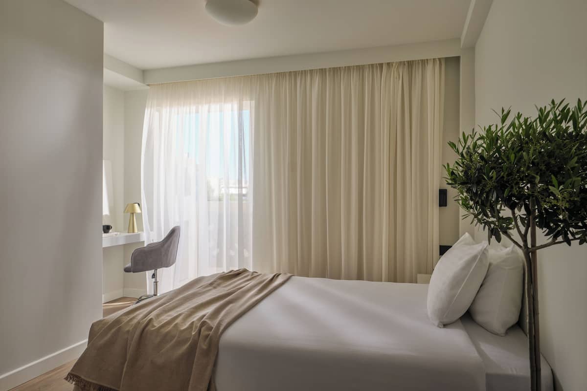 A hotel room with a bed, a desk, a chair, and a potted plant.