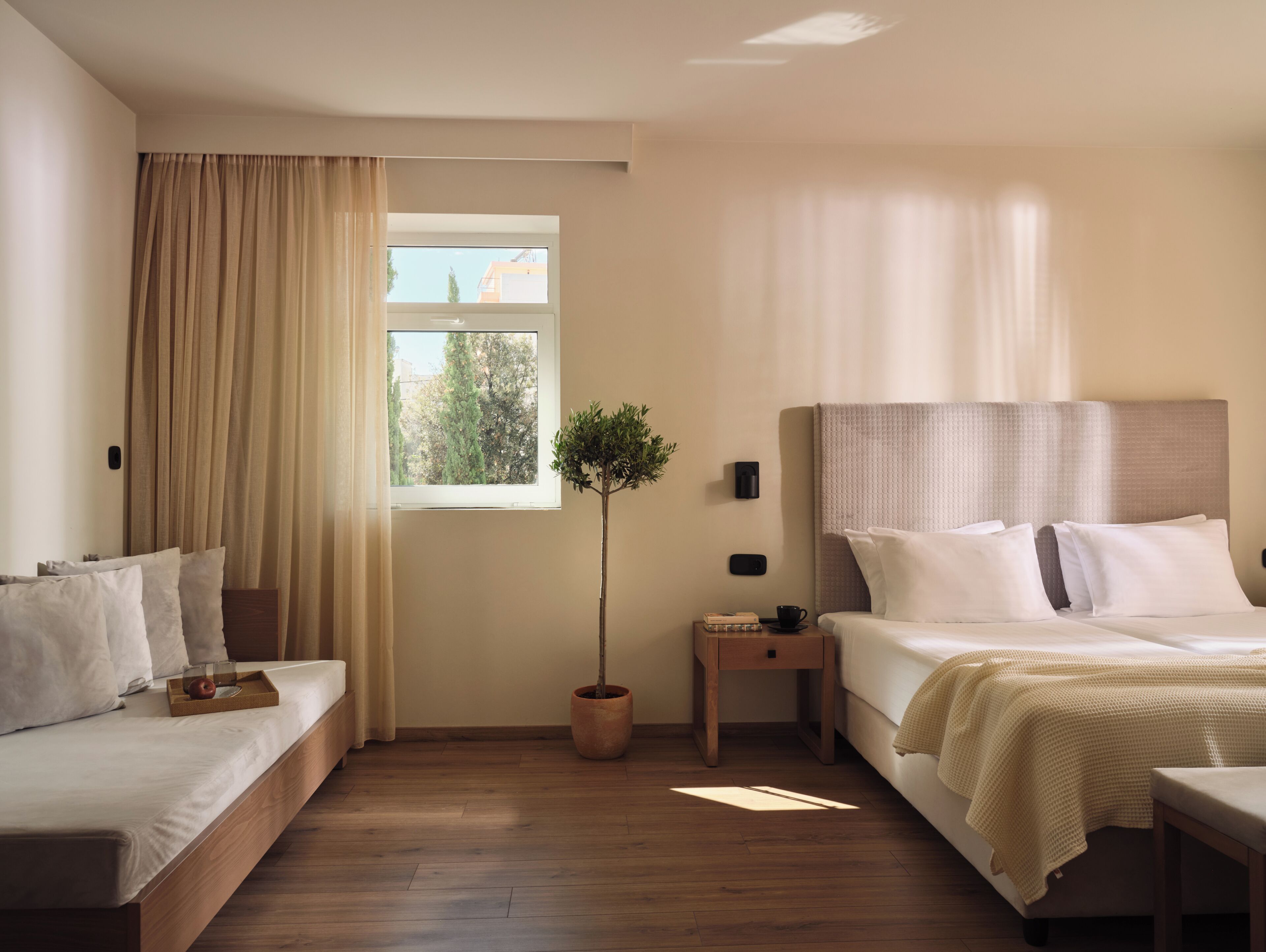 A hotel room with a bed, a bedside table, a potted plant, and a window.