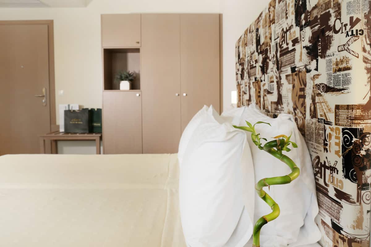 Sengetøy av topp kvalitet, dundyner og minibar (inkludert)