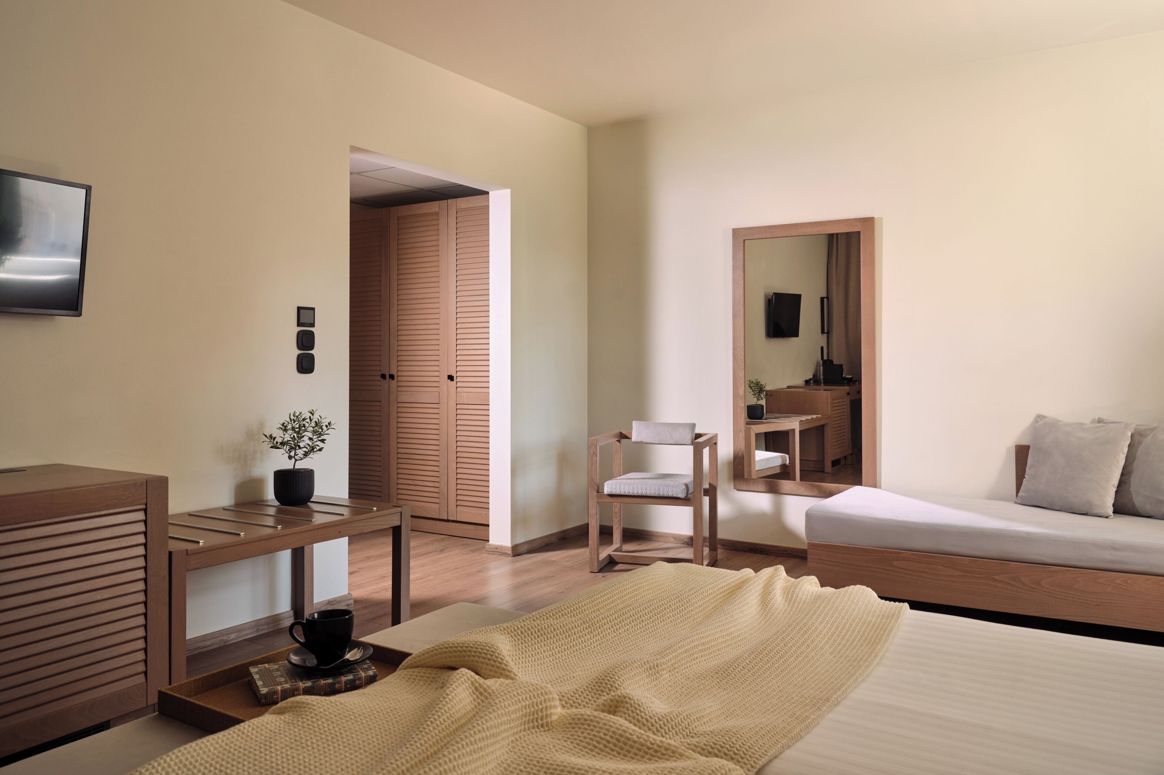 Habitación de hotel con cama, escritorio con planta, silla, televisor y espejo.