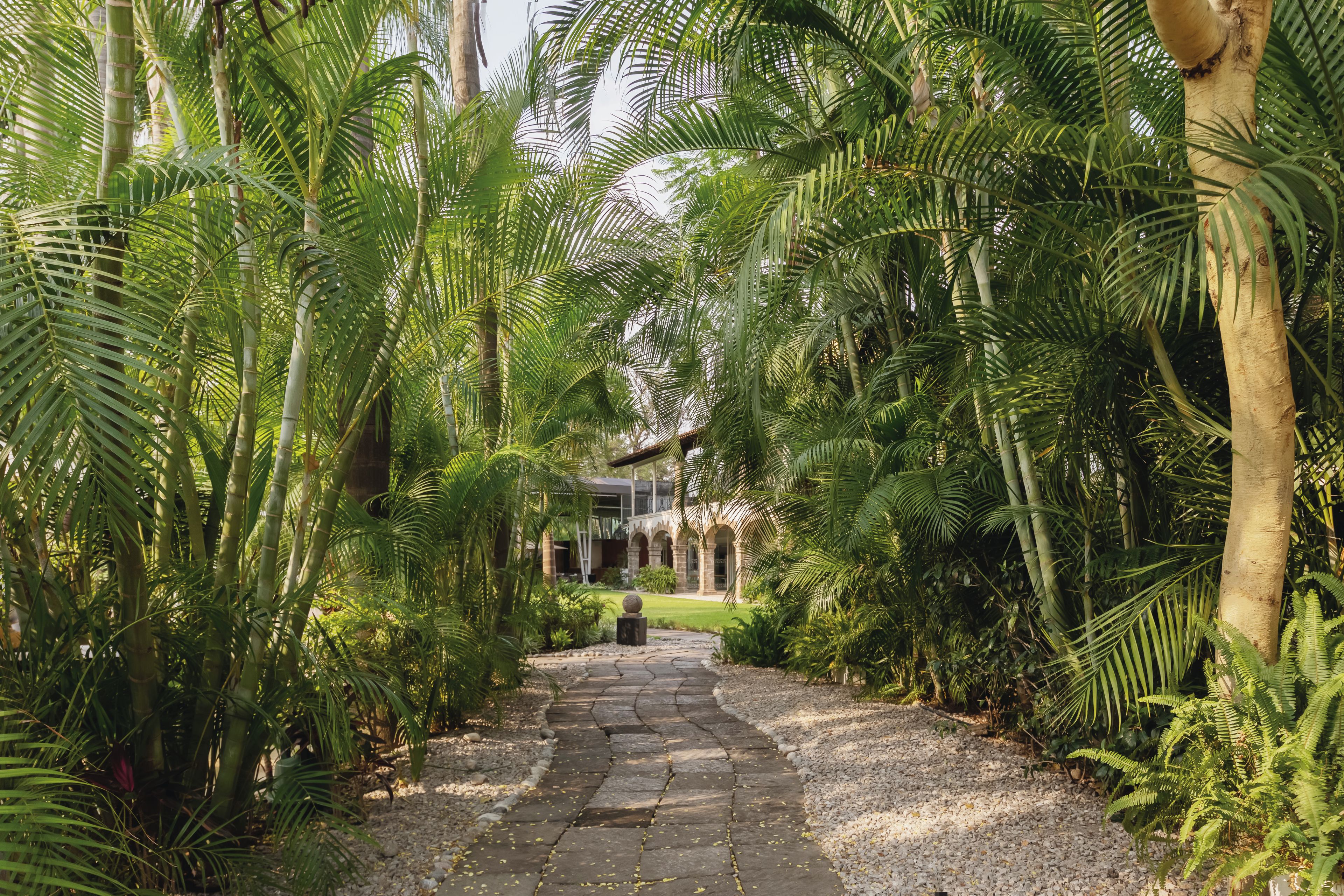 Un sendero de piedra que lleva a un edificio con arcos, rodeado de exuberante follaje tropical.