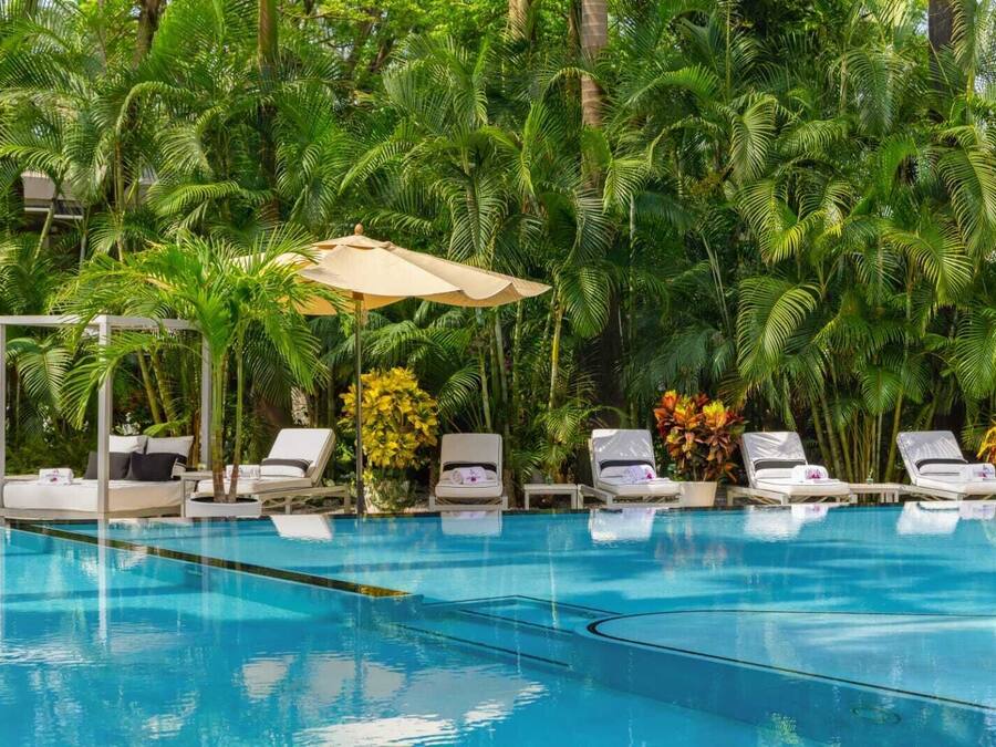 A pool area with lounge chairs and umbrellas, surrounded by lush tropical plants.