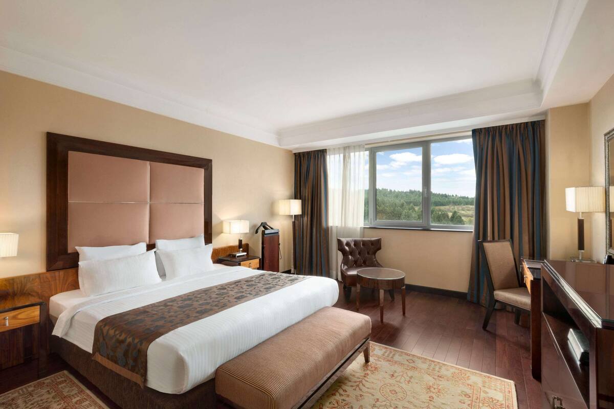 A hotel room with a large bed, a desk, a chair, and a view of the outdoors.