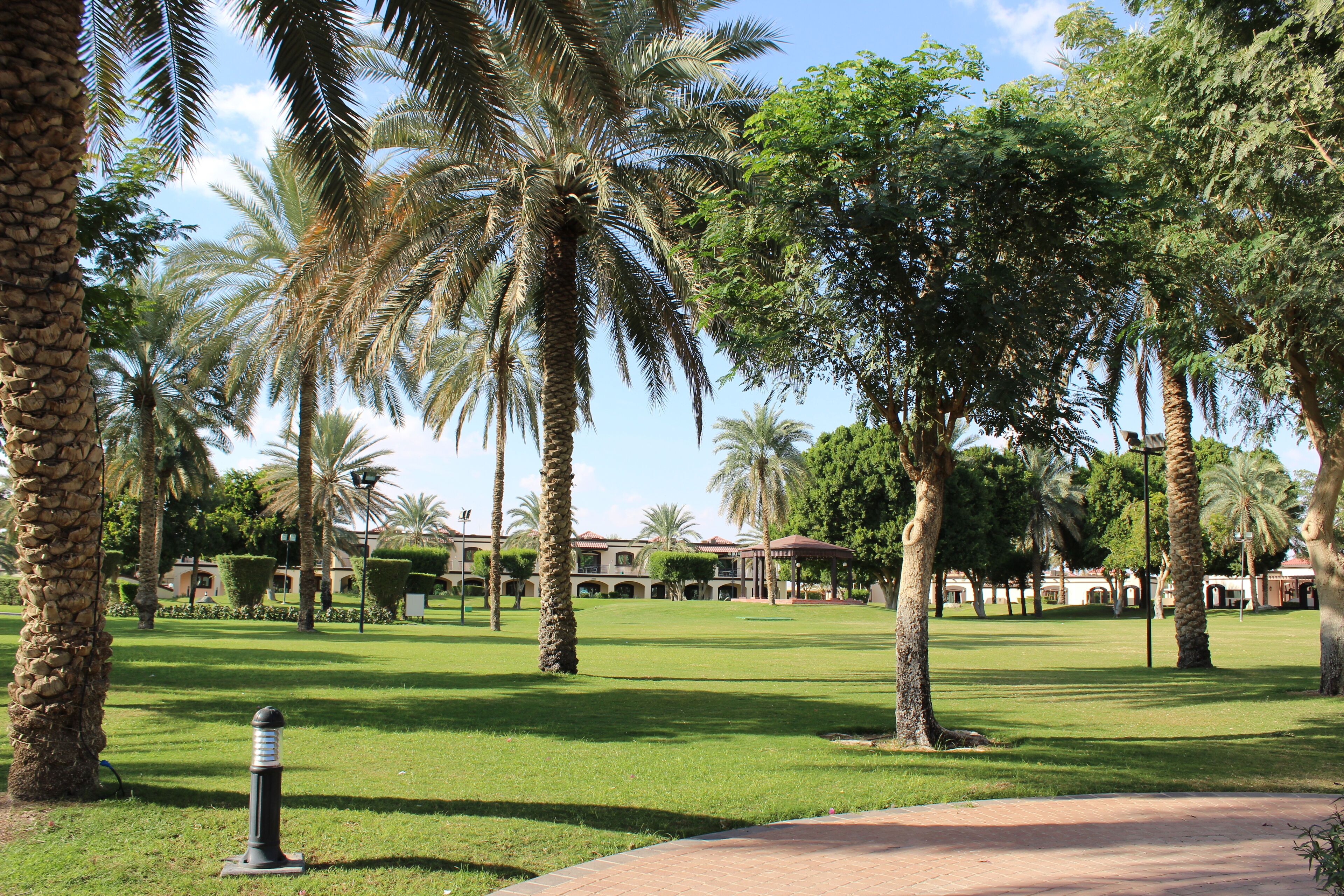 A well-maintained park with palm trees, a paved walkway, and a building with a red roof in the background.