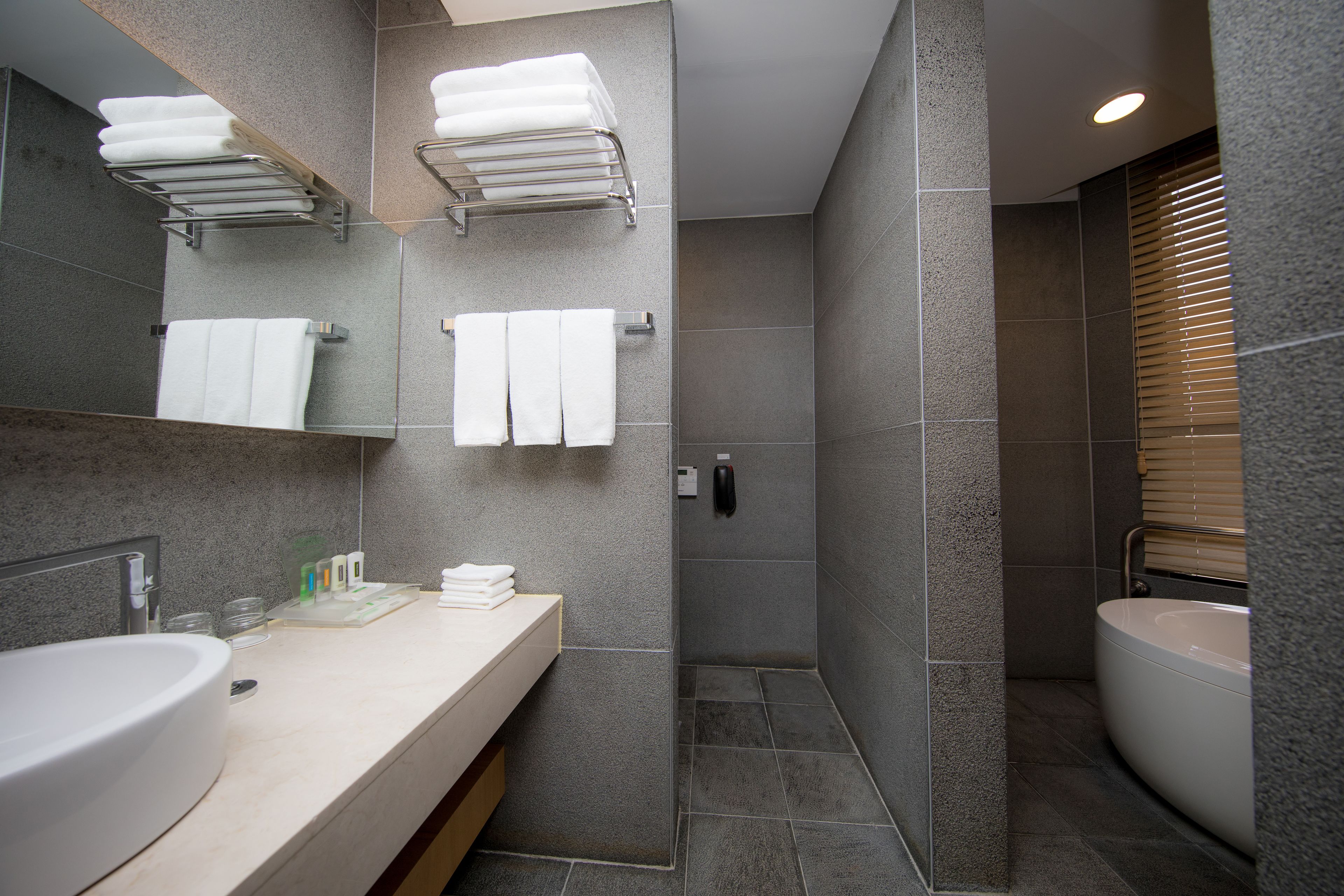 Une salle de bain moderne avec un grand lavabo, une baignoire et un espace douche.