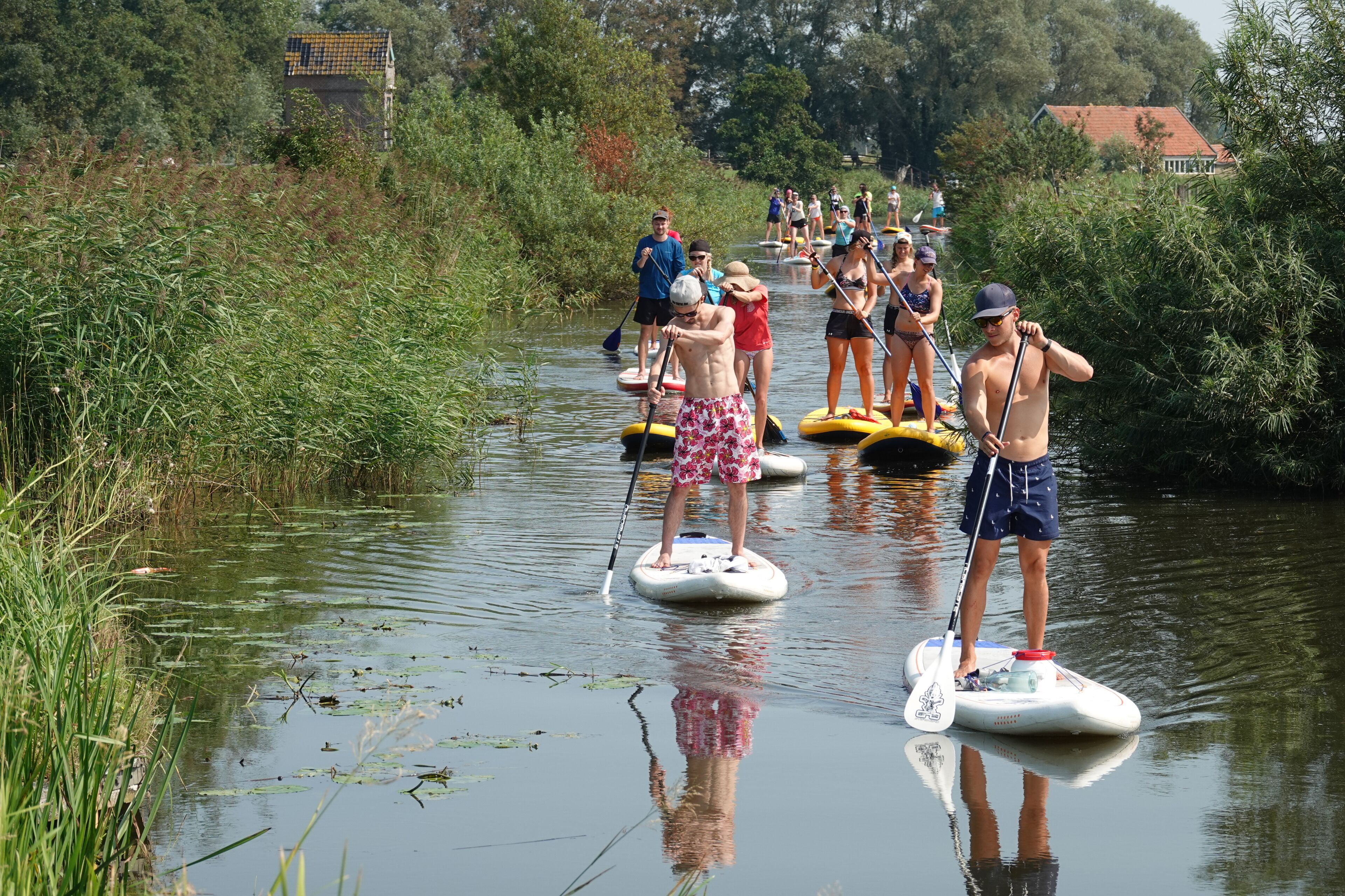 A group of people paddleboarding on a calm river surrounded by greenery.