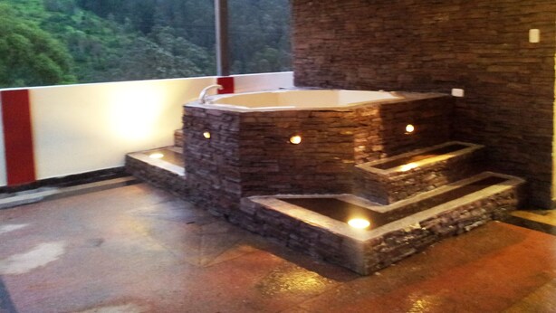 A stone bathtub with steps, a window, and a view of greenery. - Chez Elena Guesthouse (Quito)