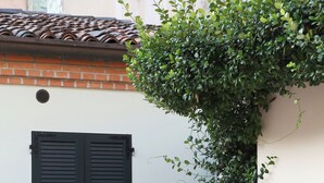 Una porta nera con un piccolo cartello sopra, un muro di mattoni e una pianta verde che cresce sulla parete.