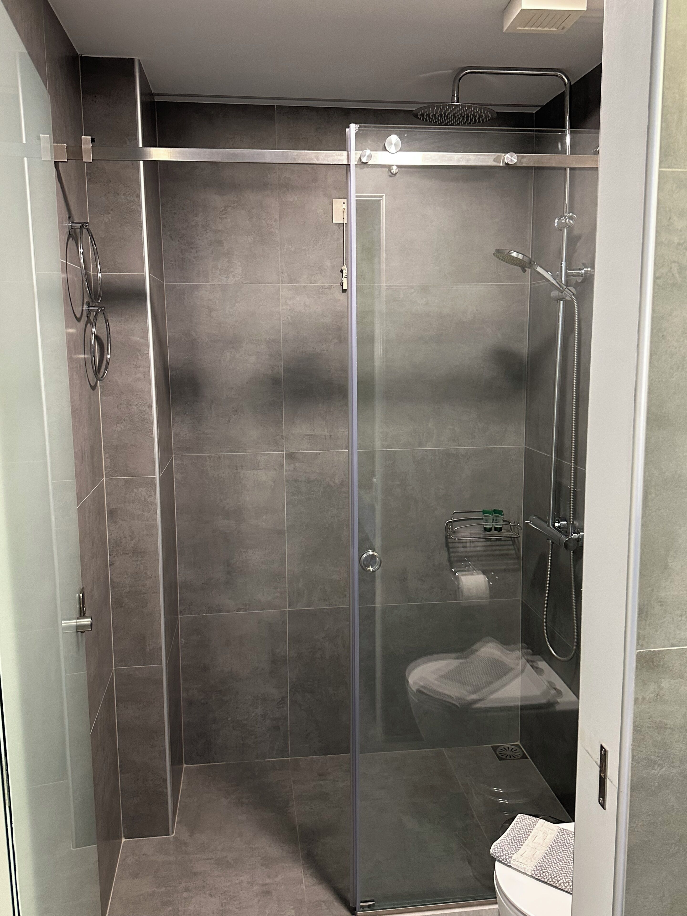 A glass-enclosed shower stall with a handheld showerhead, a towel rack, and a toilet visible through the glass.