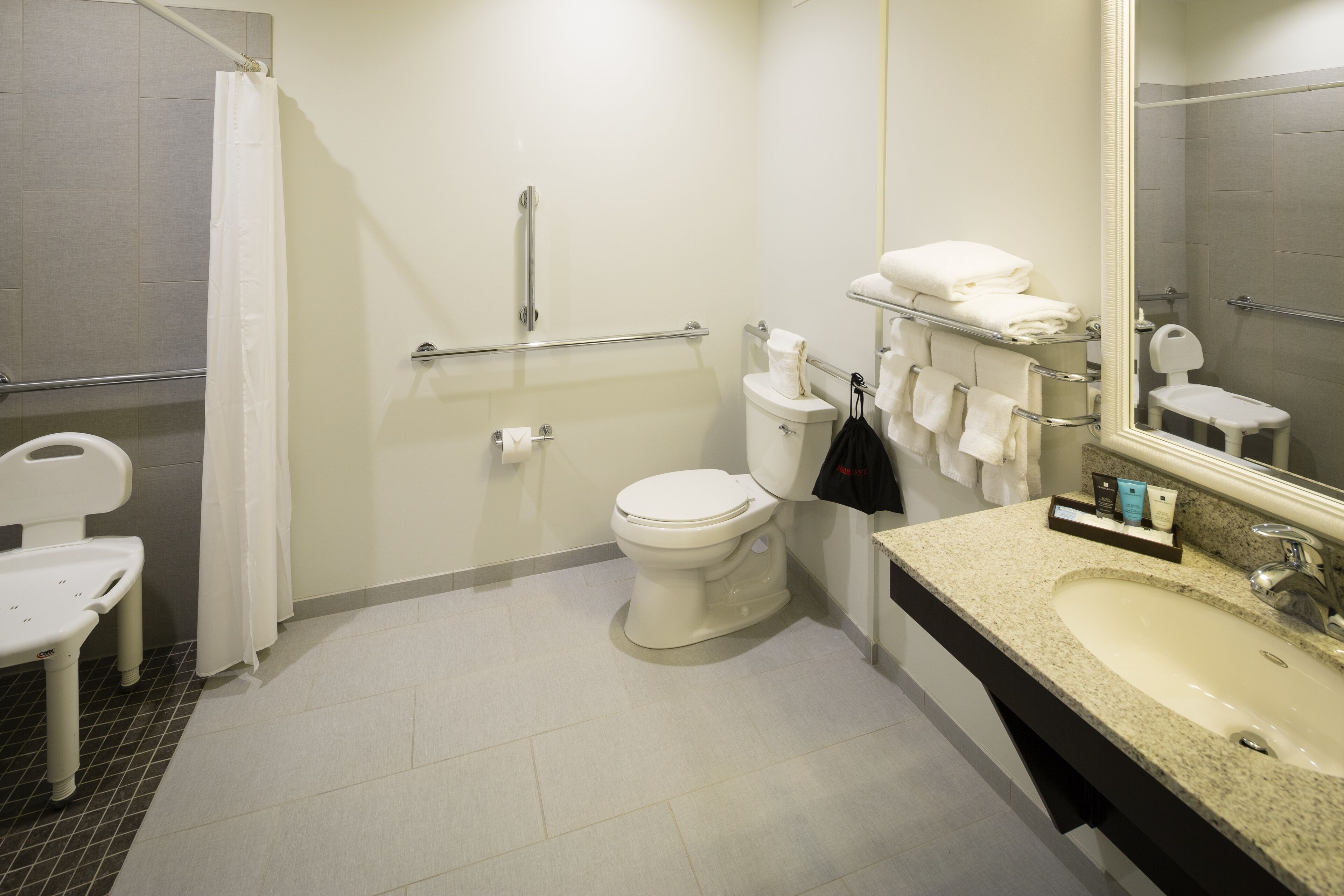 standard room, 1 queen bed, accessible | bathroom | shower, hydromassage showerhead, free toiletries, hair dryer