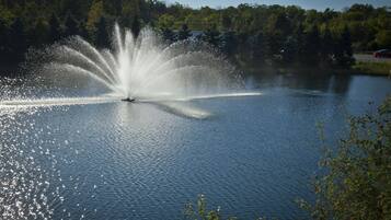 Un lac avec une fontaine au centre, entouré d’arbres et bordé d’une route où circulent des voitures.