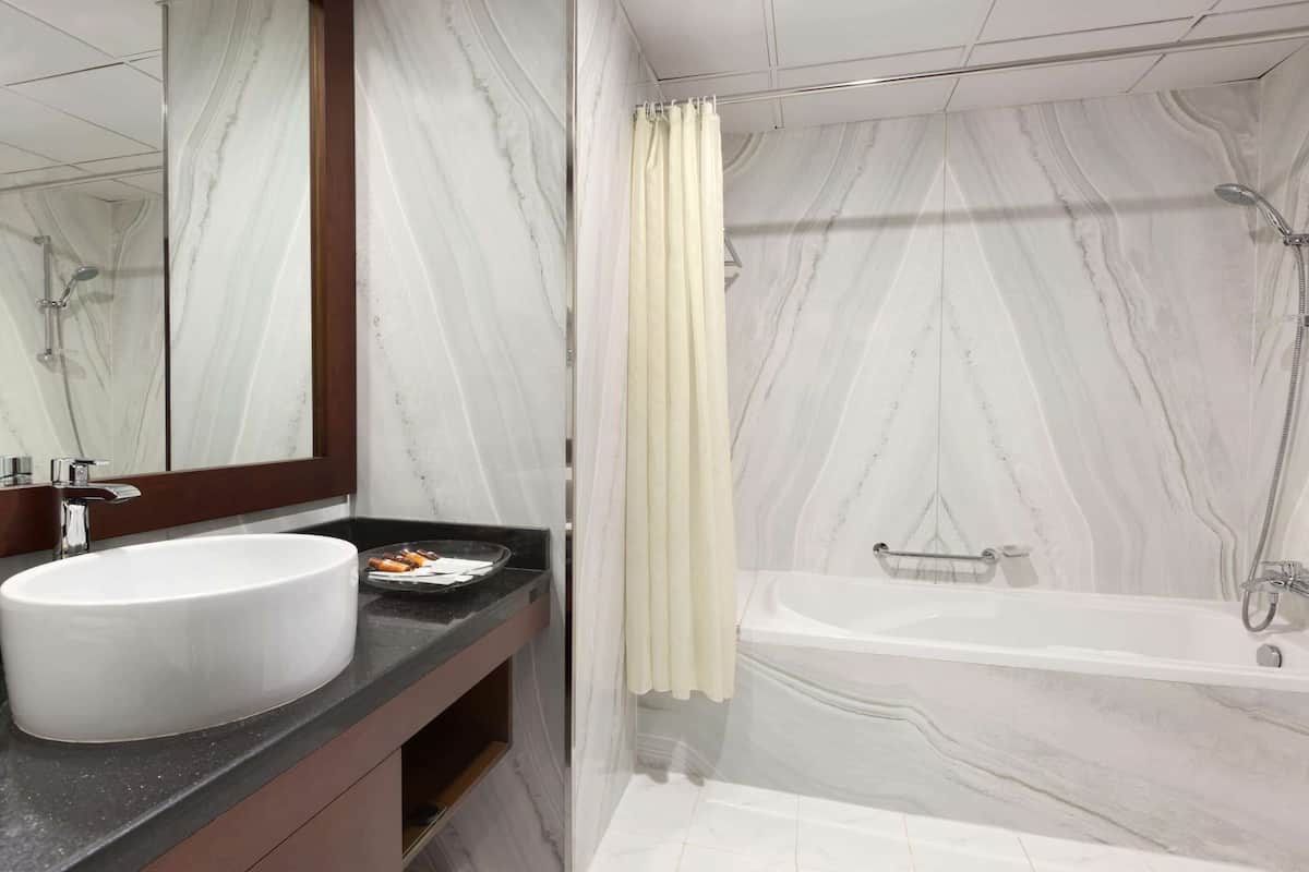 Combined shower/bathtub, free toiletries, hair dryer