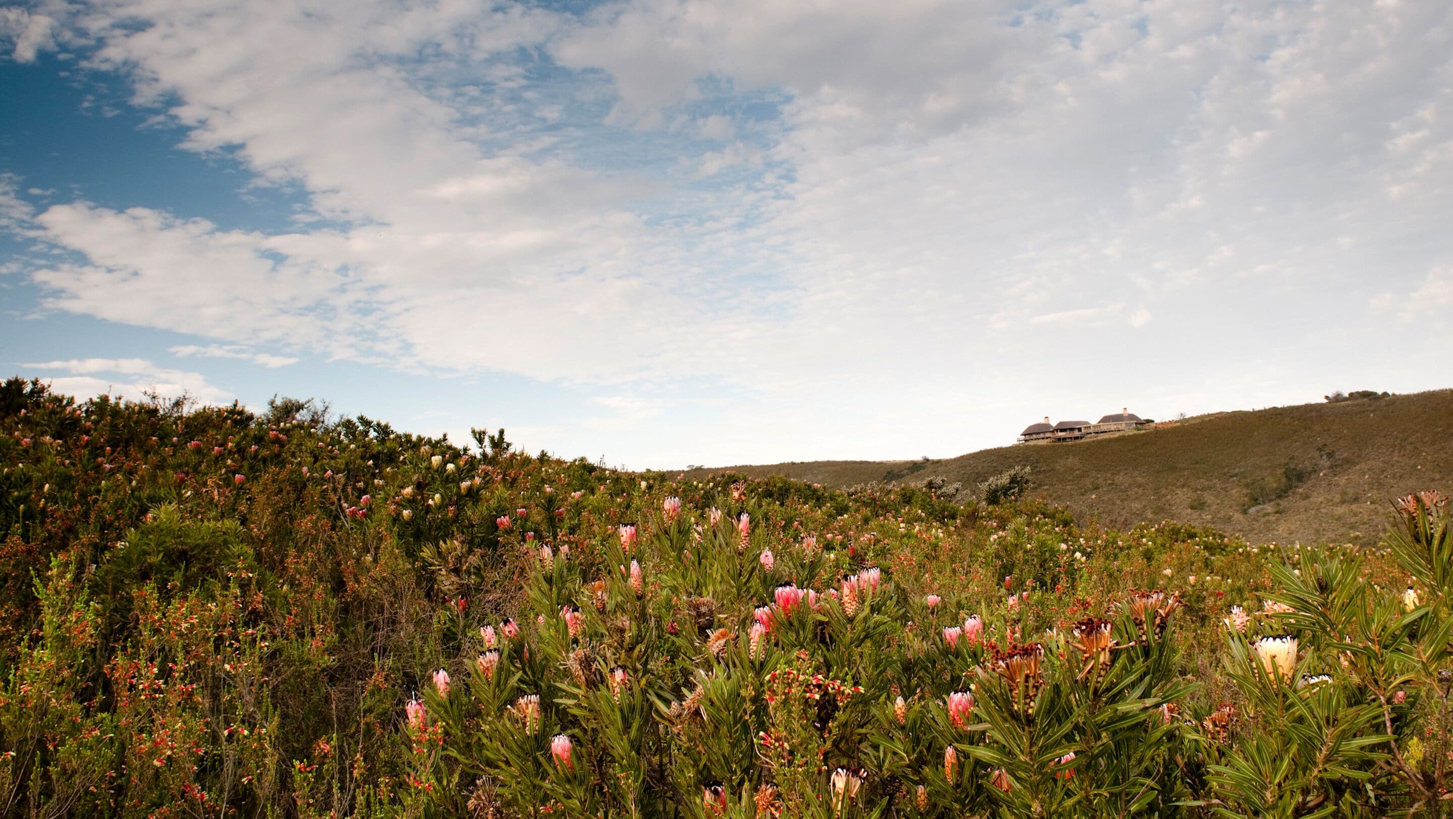 land view from property