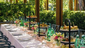 A long table set for a meal with a canopy of purple flowers overhead. - Hotel Park (Split)