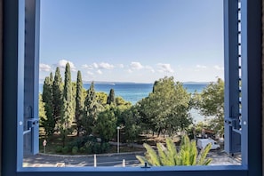 A view through a window of a coastal area with trees, a road, and a body of water.