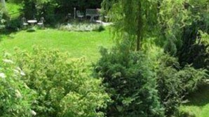 Un jardin luxuriant, avec une variété de plantes et d’arbres, une pelouse, et on aperçoit une maison au loin.